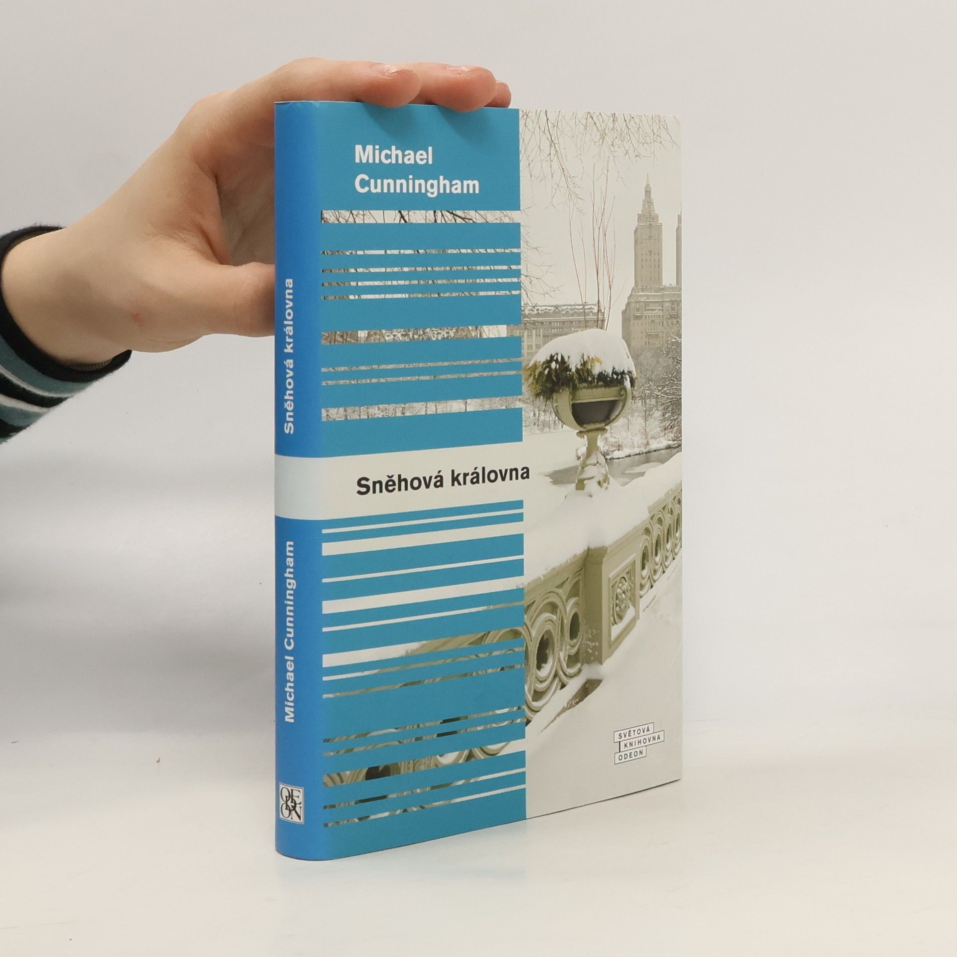 Michael Cunningham Sněhová královna