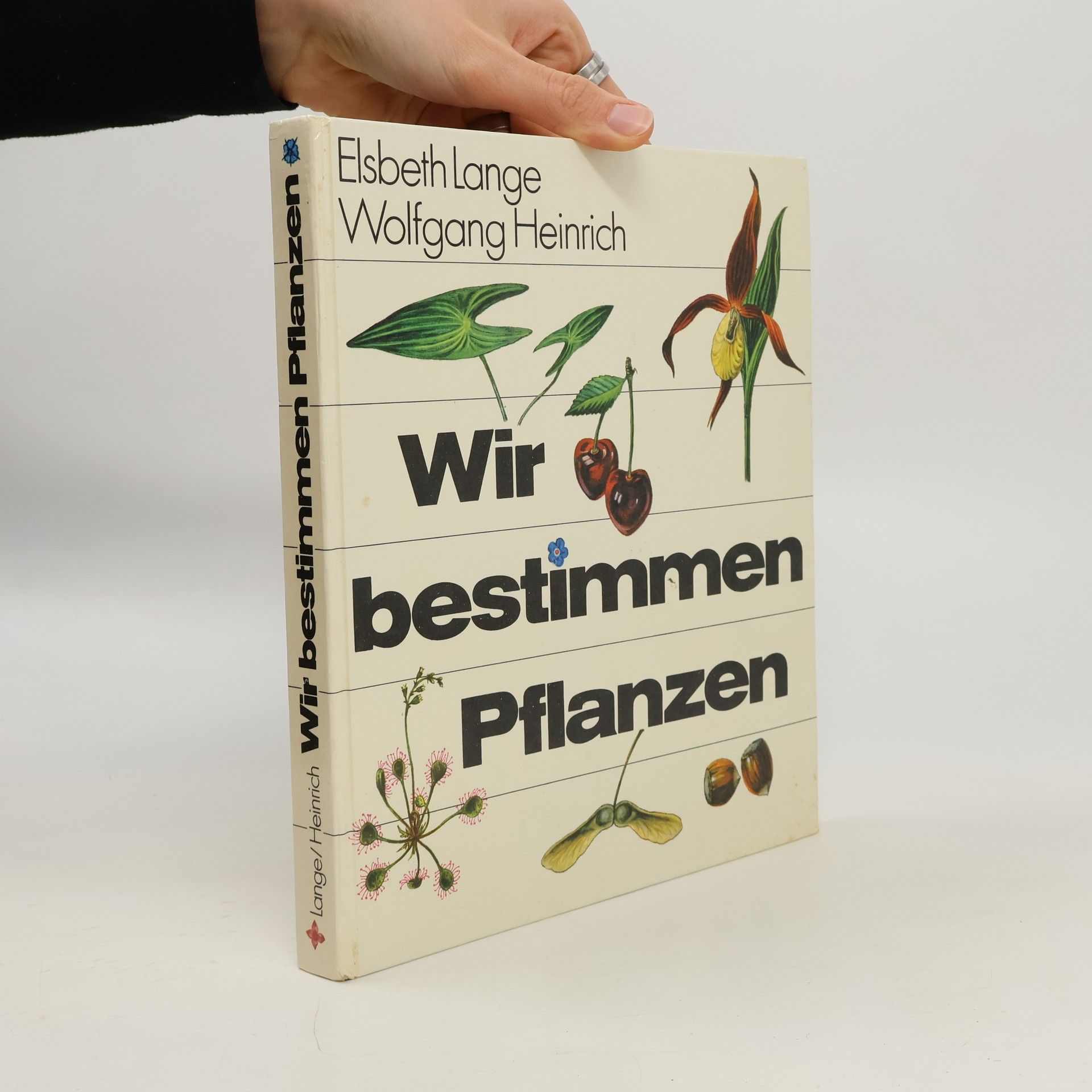 Wir bestimmen Pflanzen