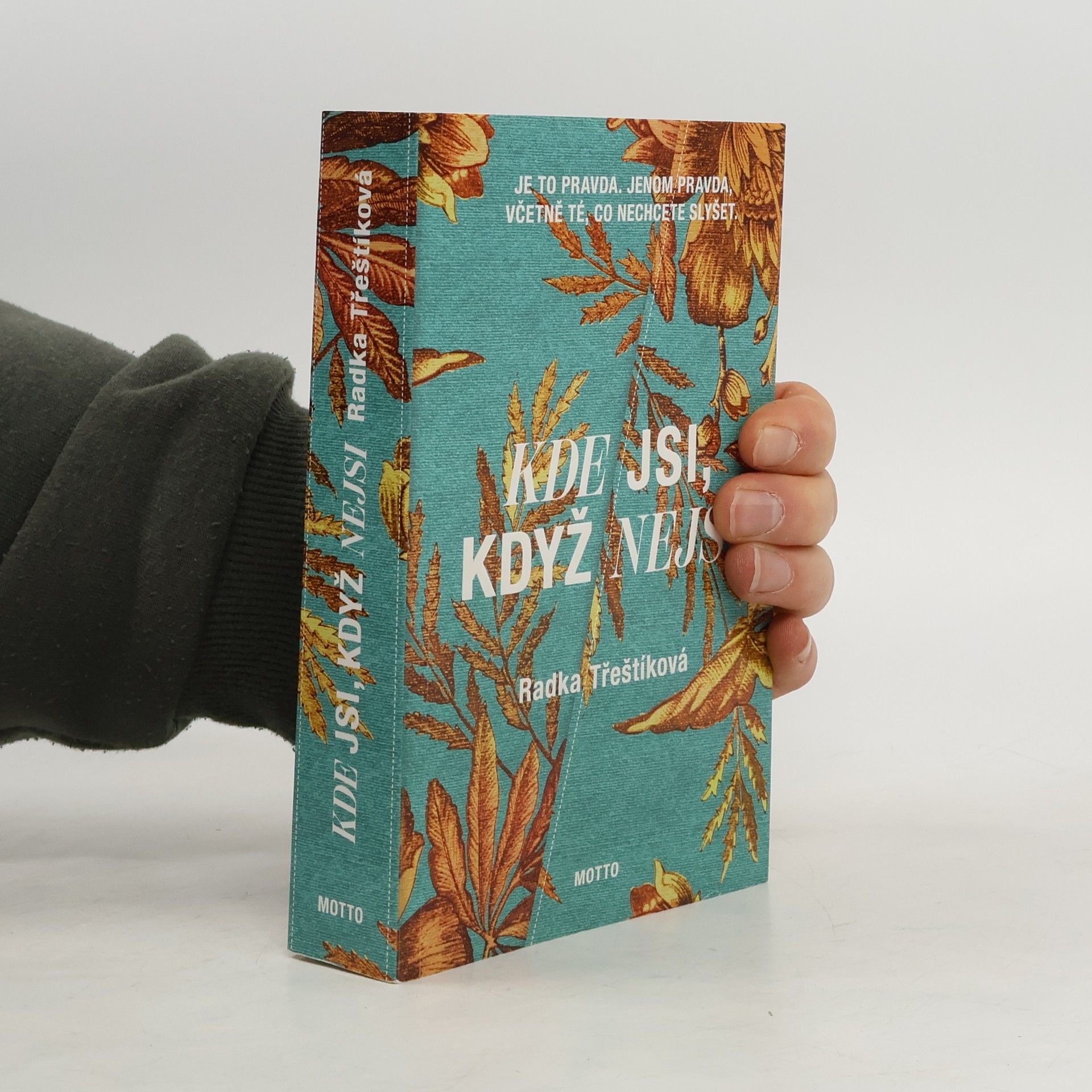 Radka Třeštíková Kde jsi, když nejsi