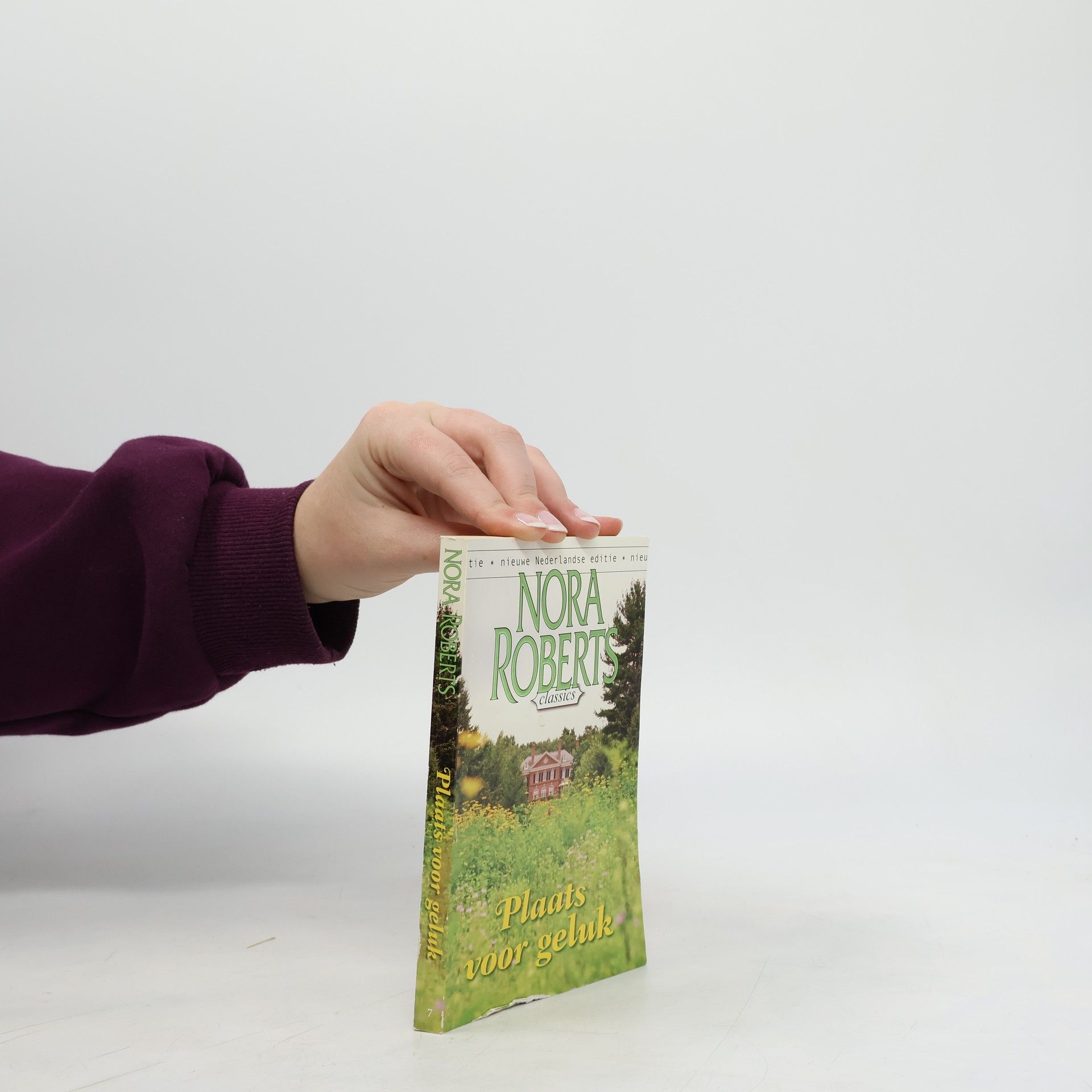 Nora Roberts Plaats voor geluk