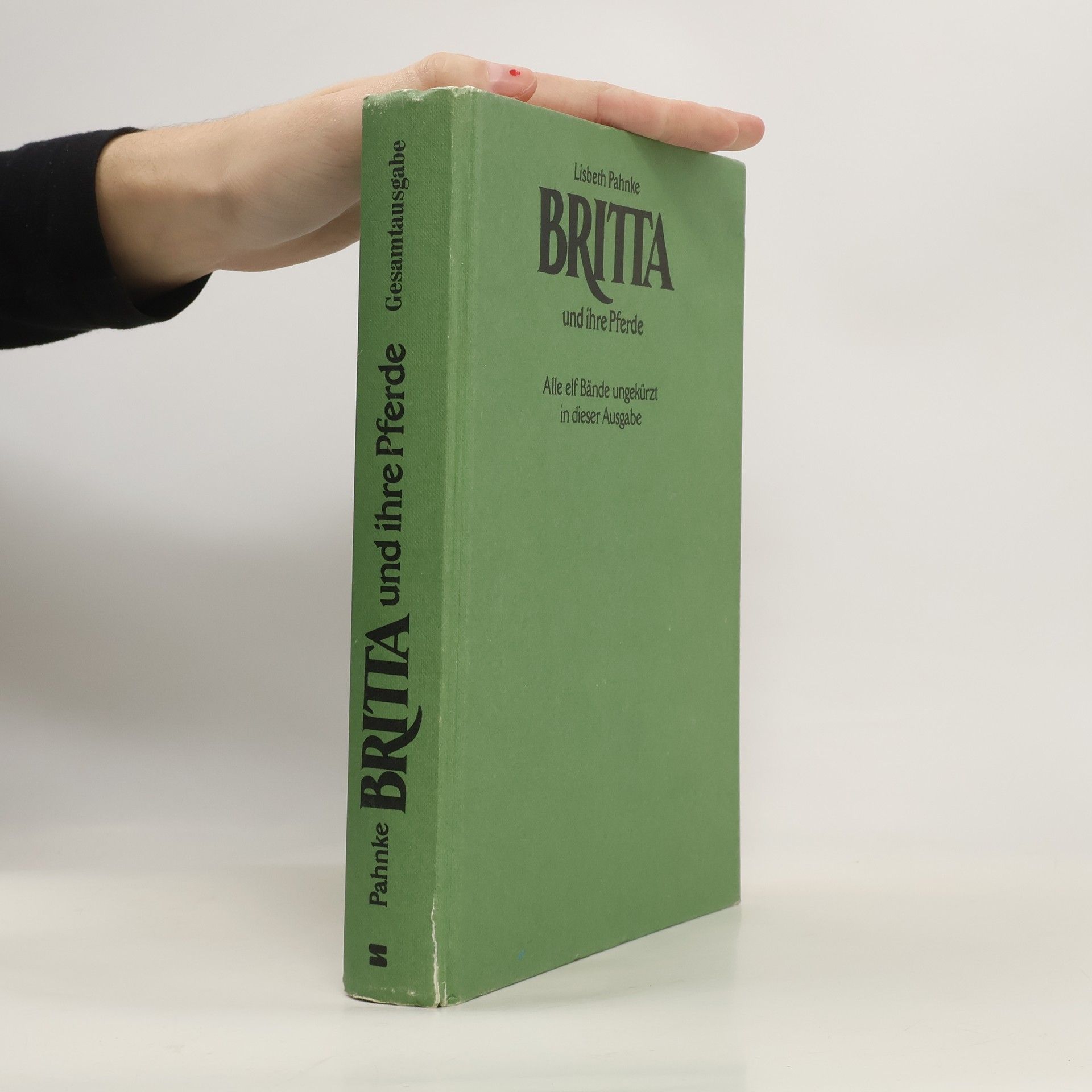 Britta und ihre Pferde