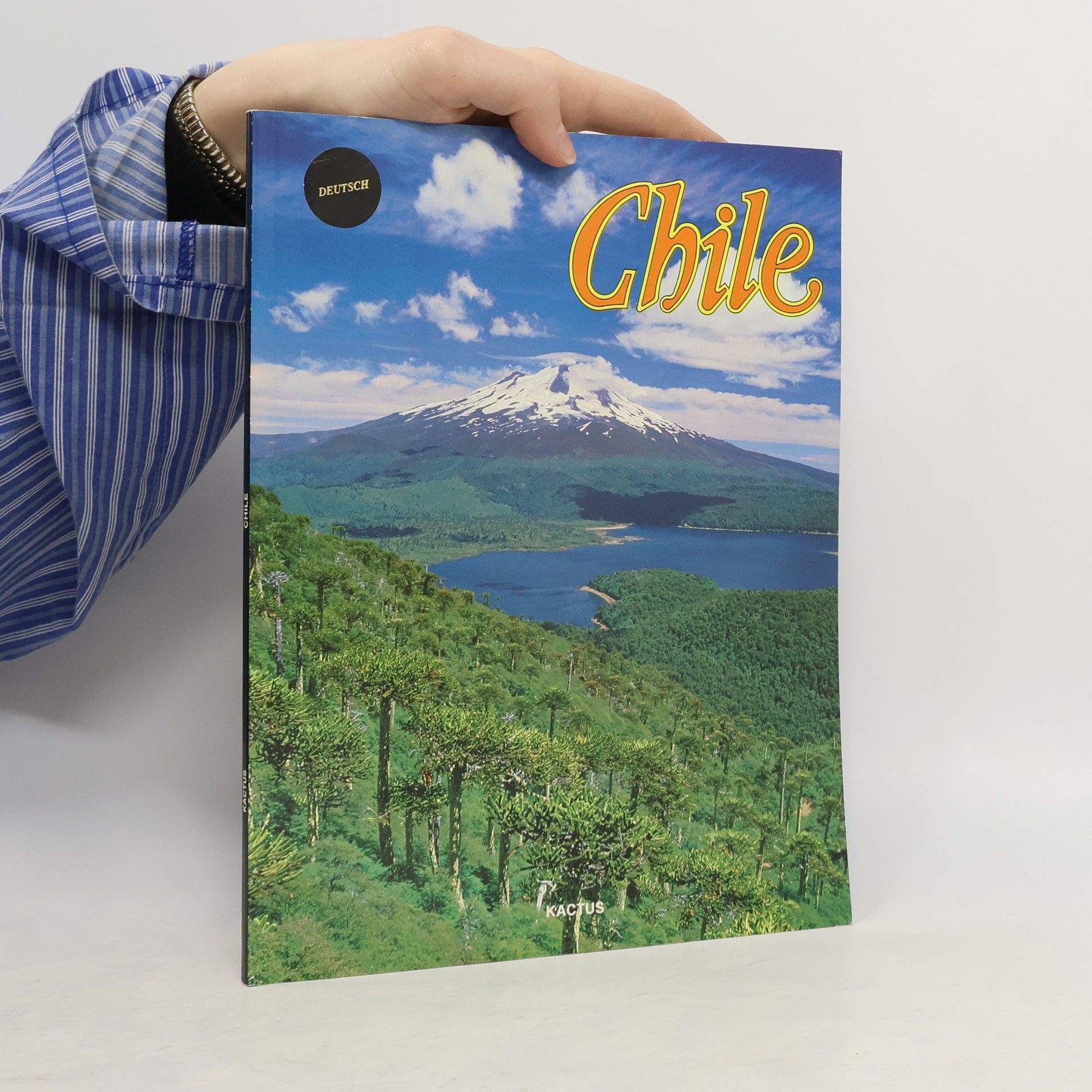 Collectif d'auteurs Chile