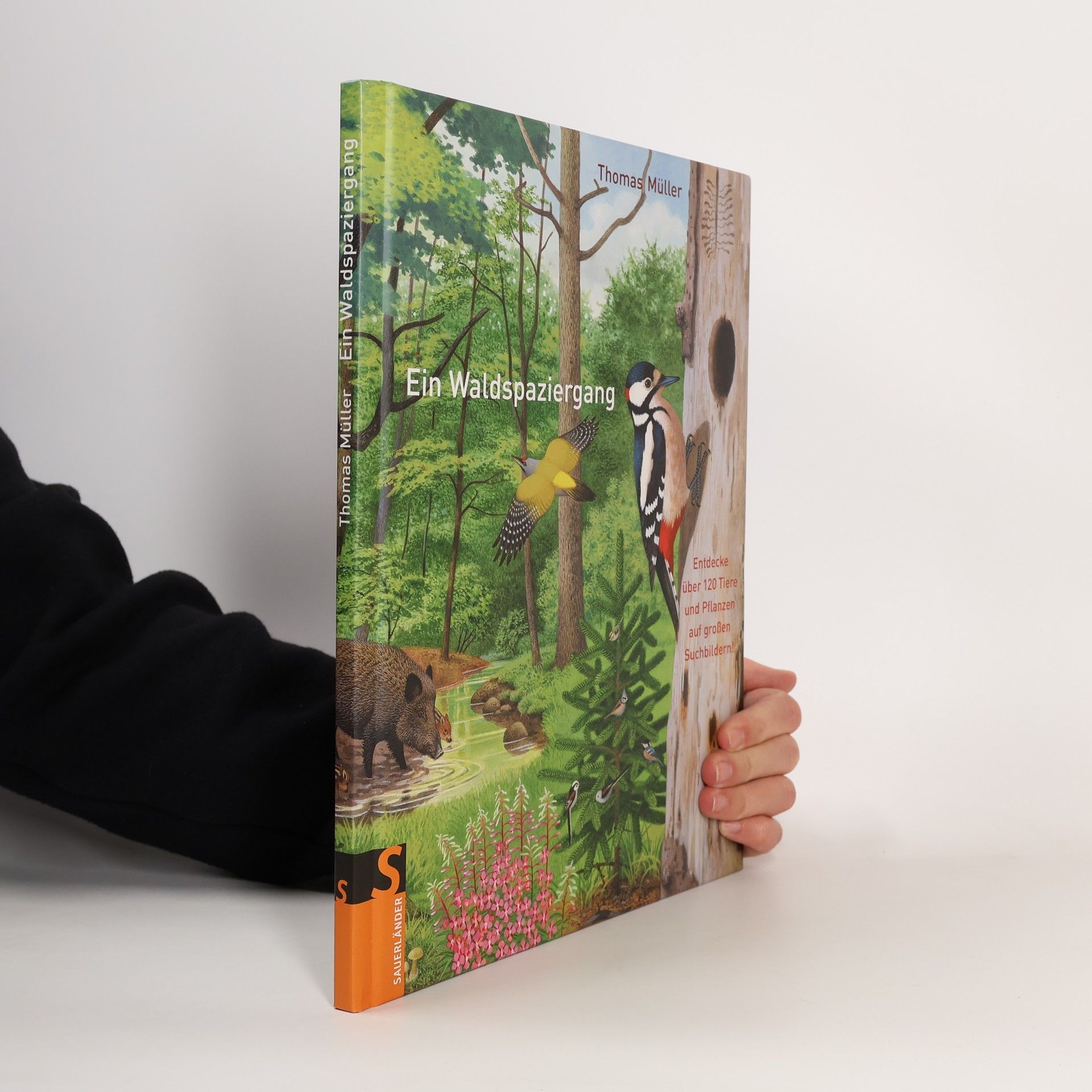 Thomas M. Müller Ein Waldspaziergang