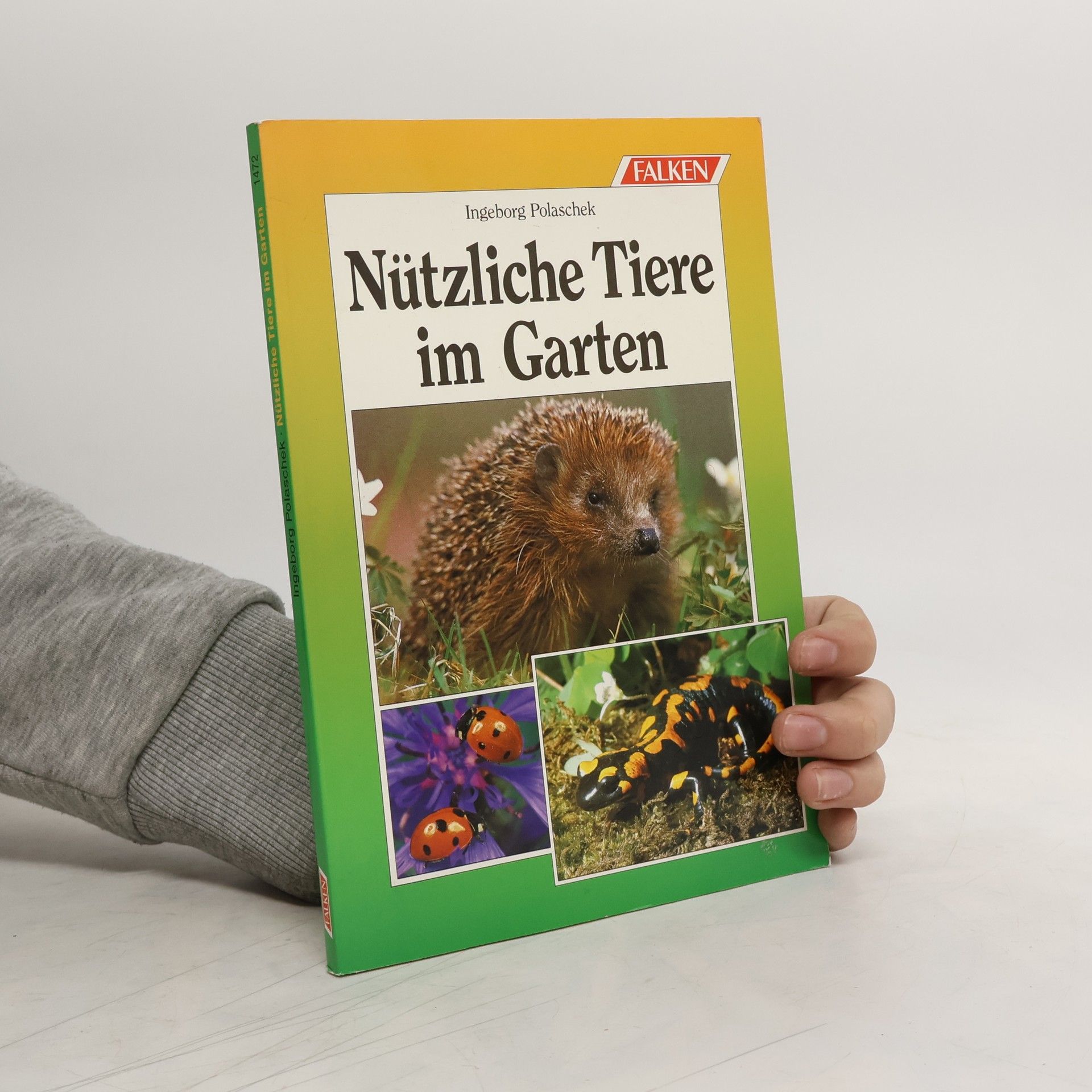 Nützliche Tiere im Garten