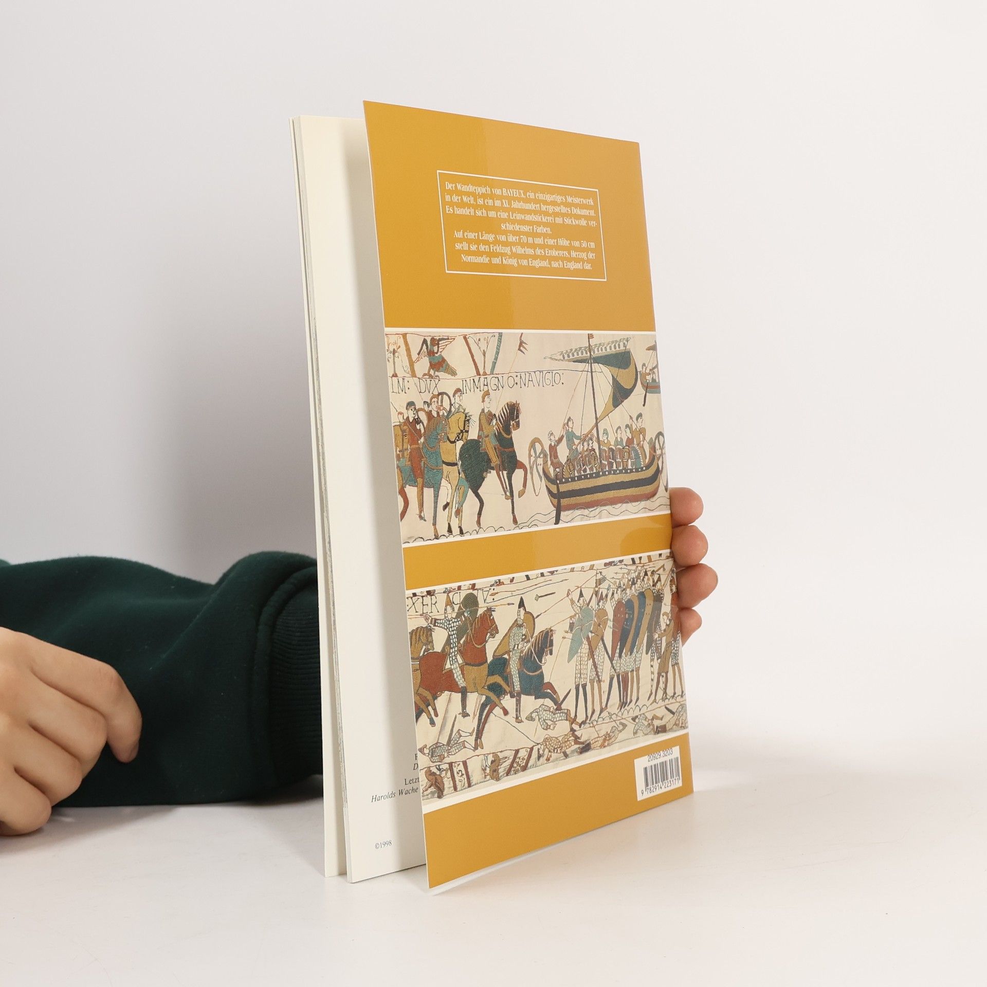 Lucien Musset Der Wandteppich von Bayeux