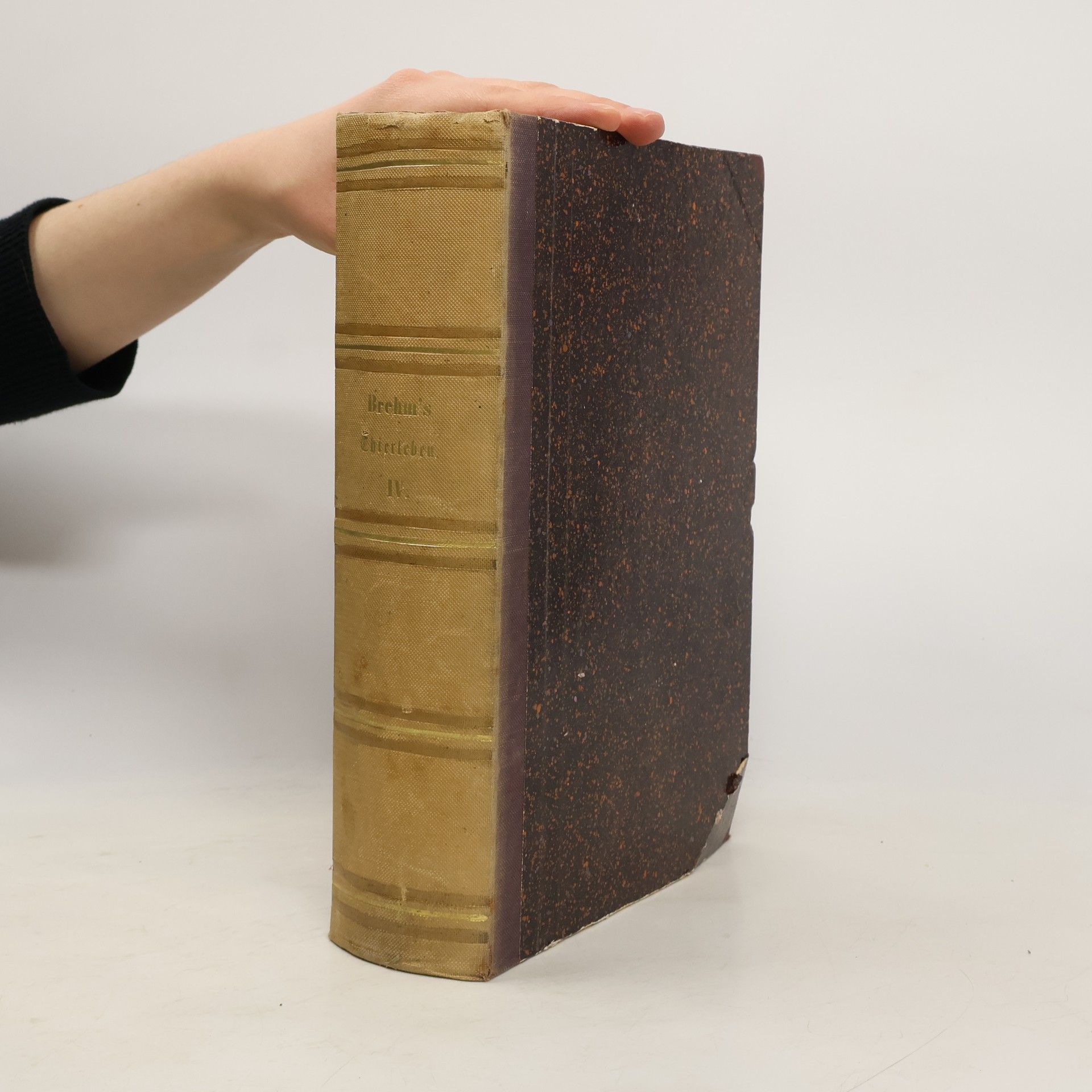 Alfred Edmund Brehm Illustrirtes Thierleben 4