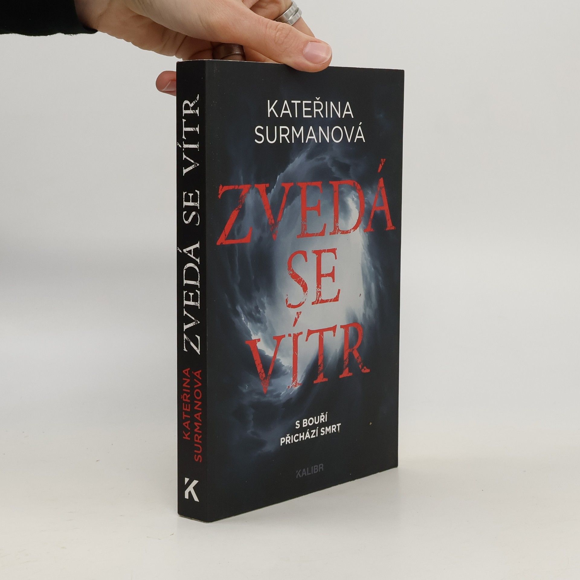 Kateřina Surmanová Zvedá se vítr