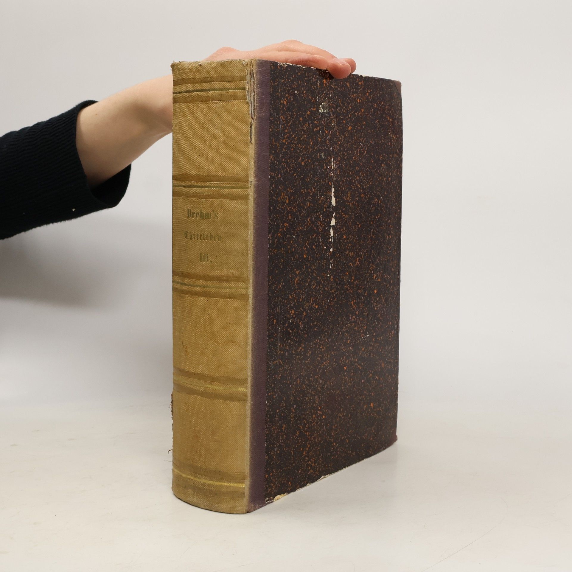 Alfred Edmund Brehm Illustrirtes Thierleben 3