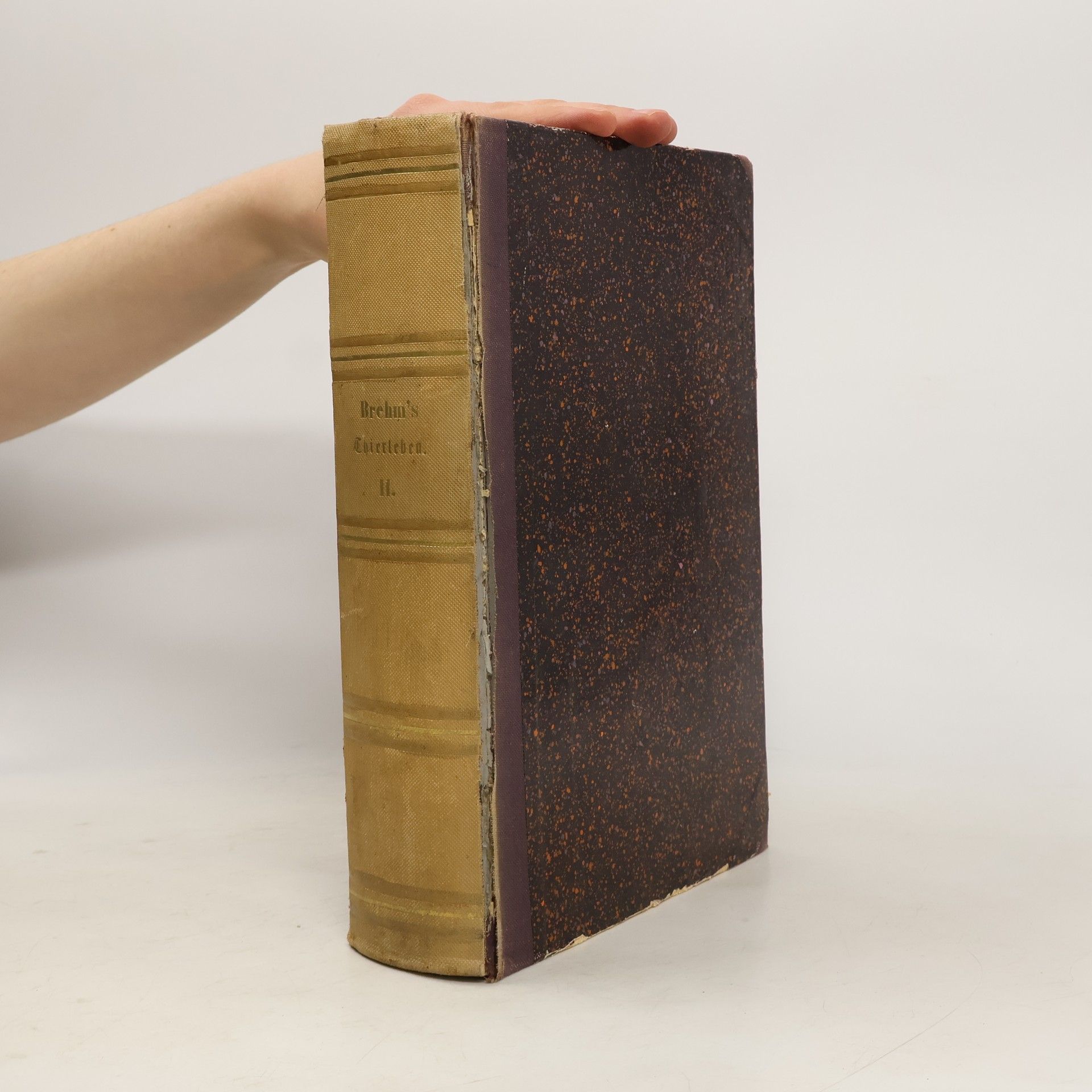 Alfred Edmund Brehm Illustrirtes Thierleben 2