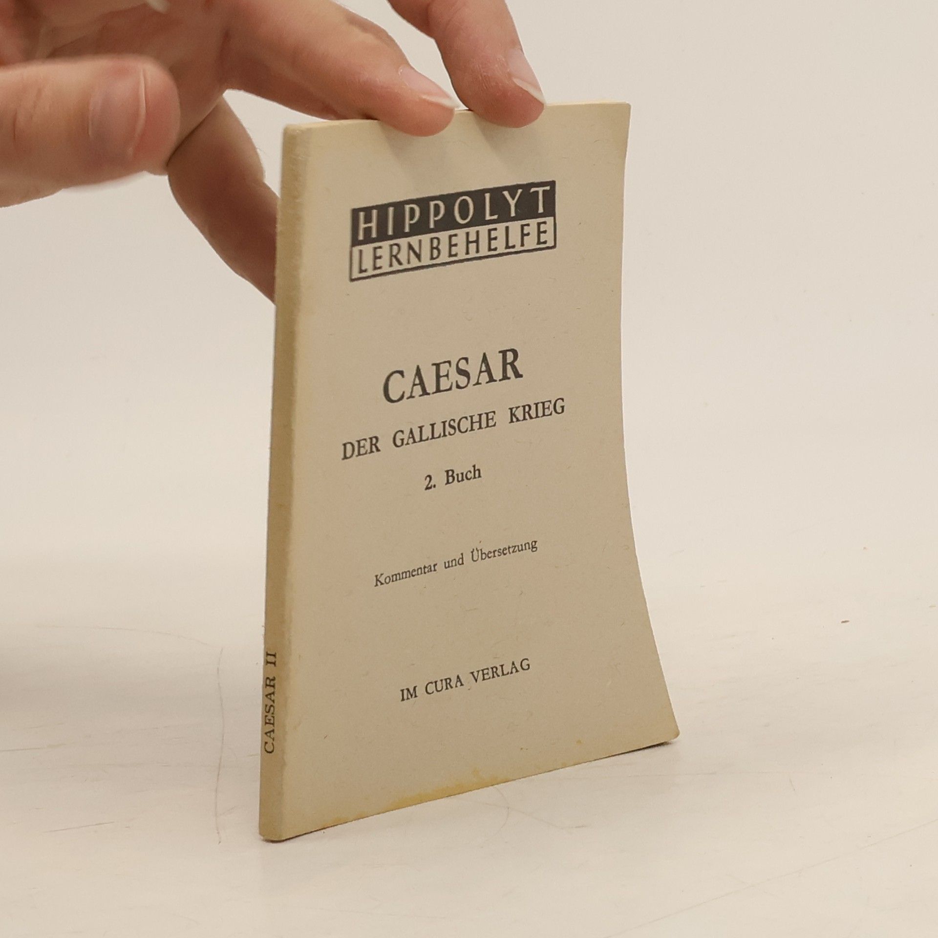 Julius Caesar Der gallische Krieg