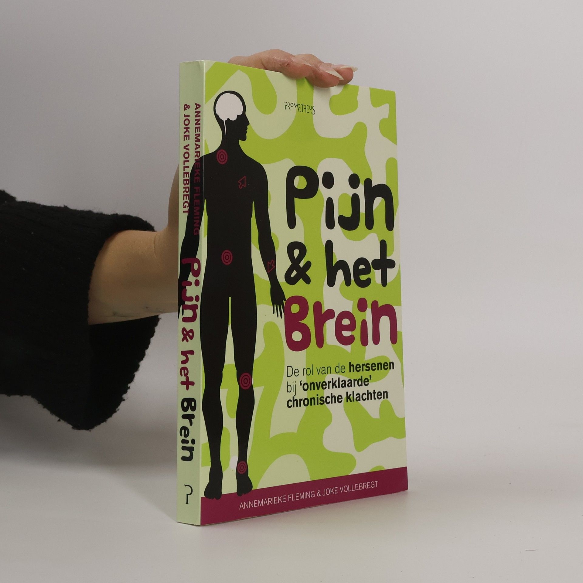 Annemarieke Fleming Pijn & het brein - druk 1