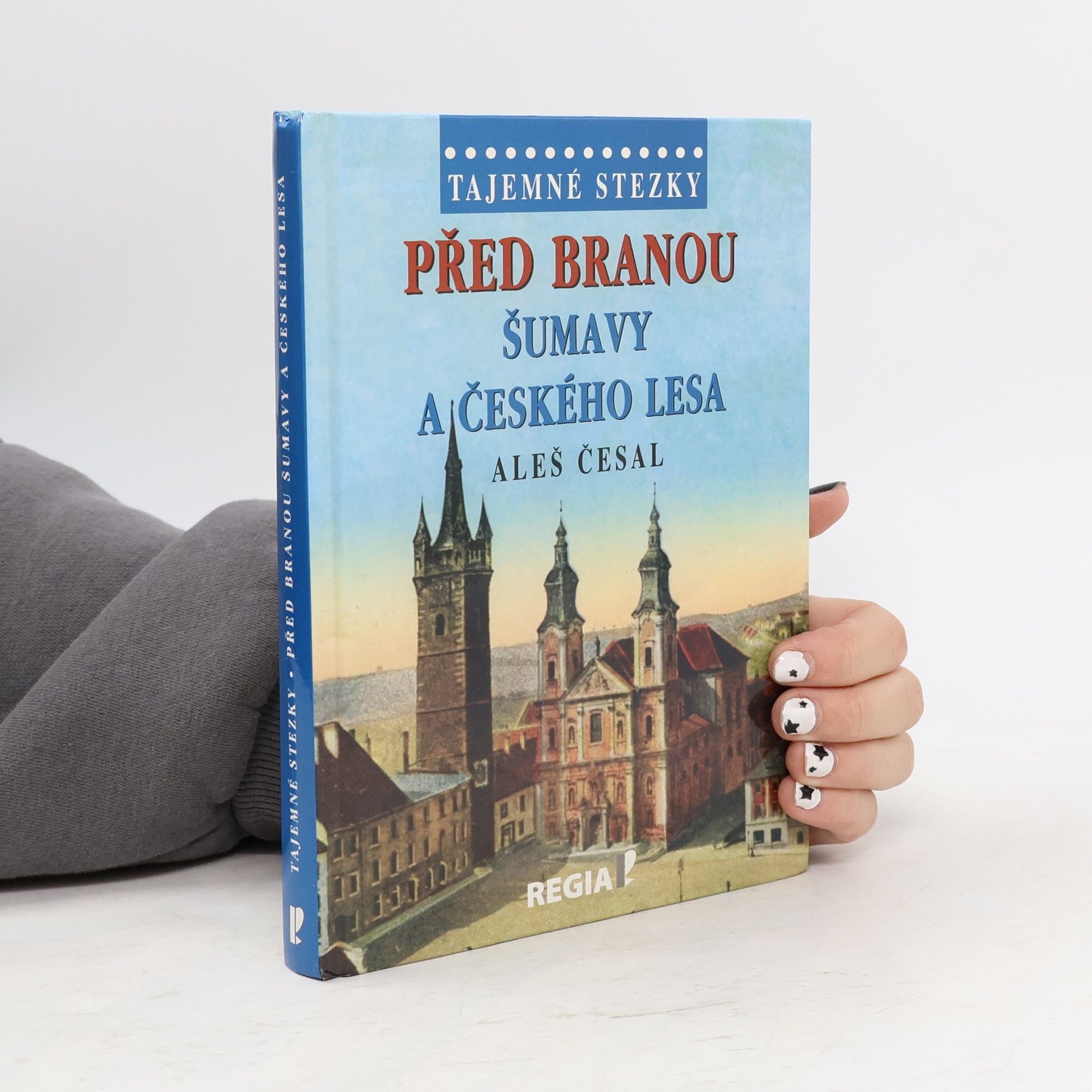 Před branou Šumavy a Českého lesa