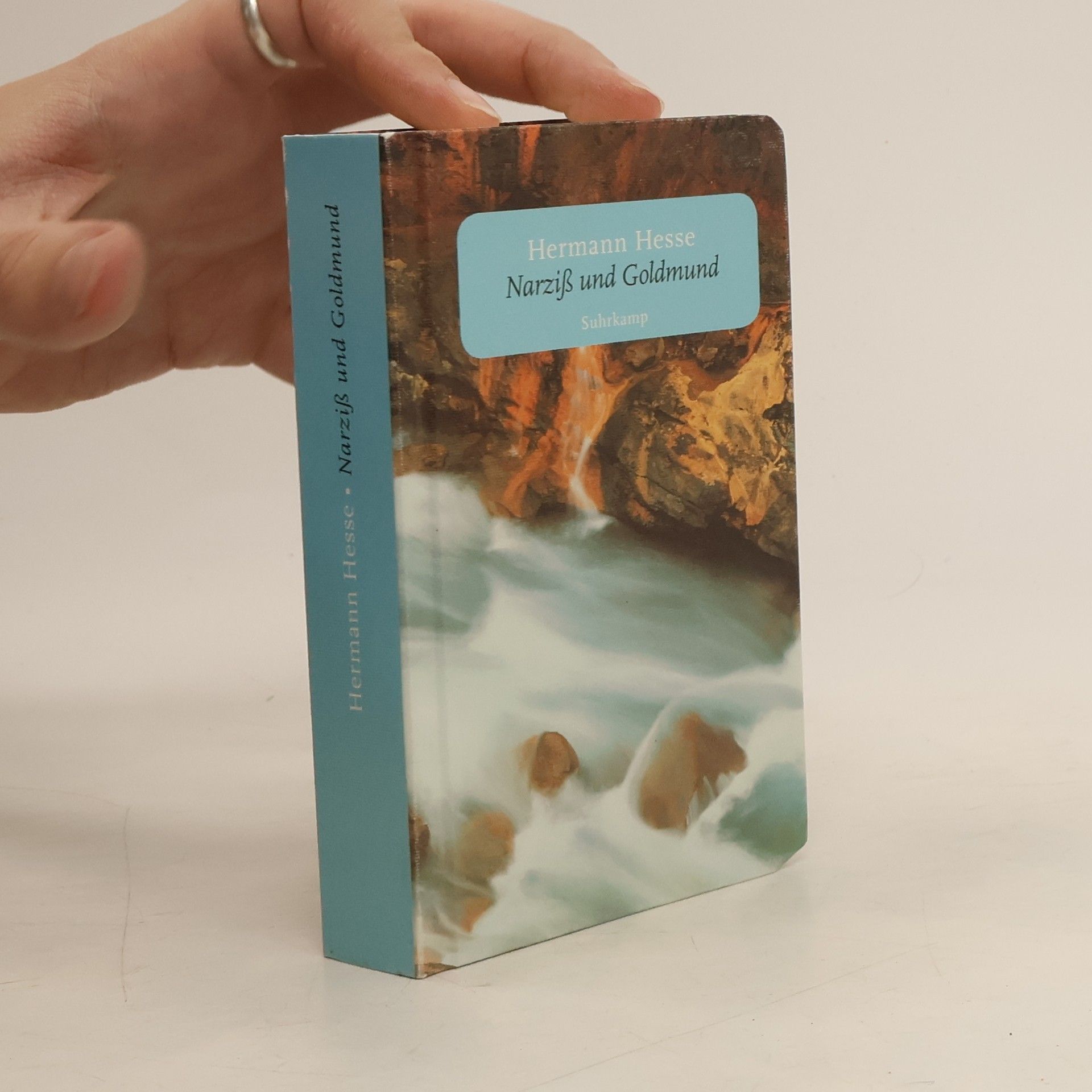 Narziß und Goldmund