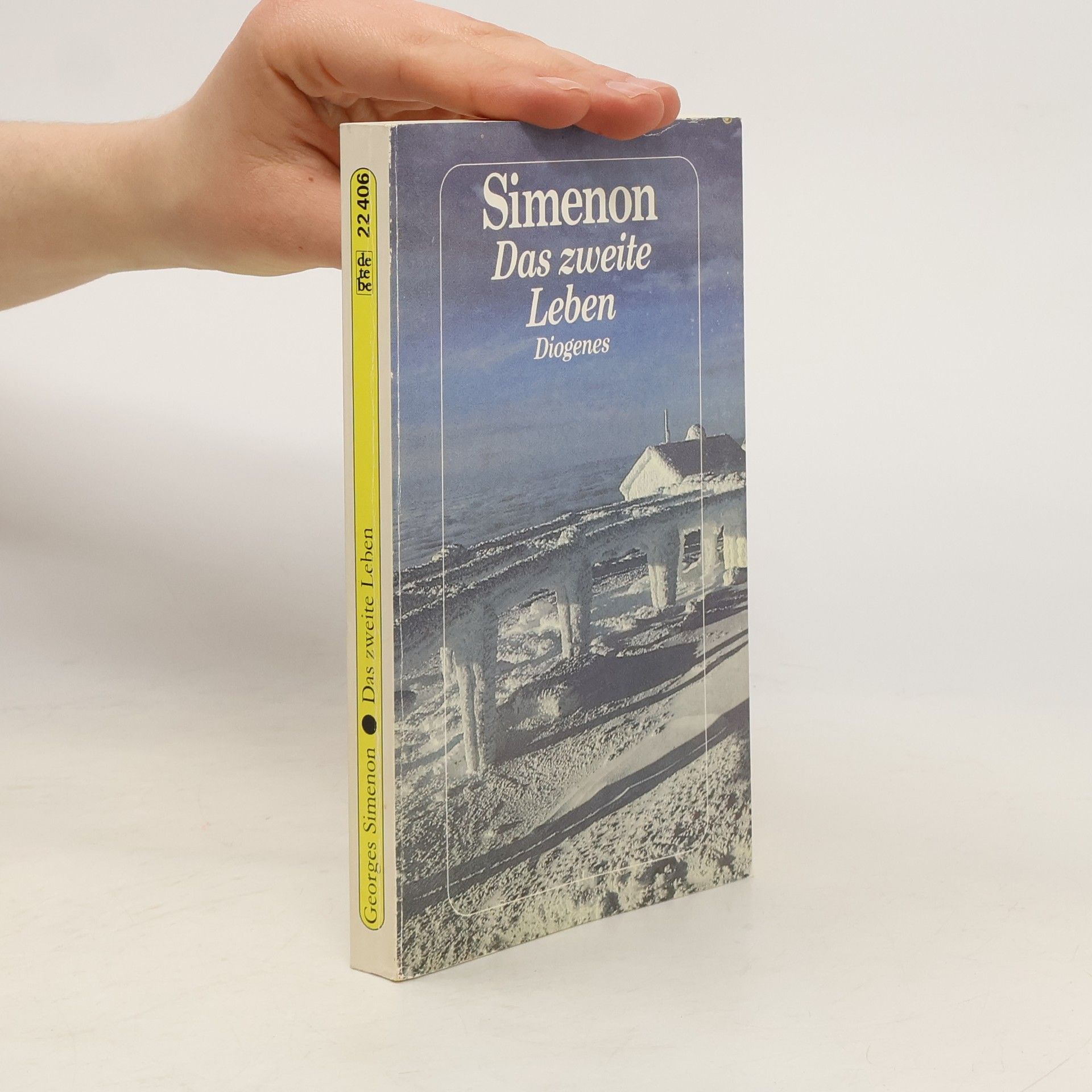Georges Simenon Das zweite Leben