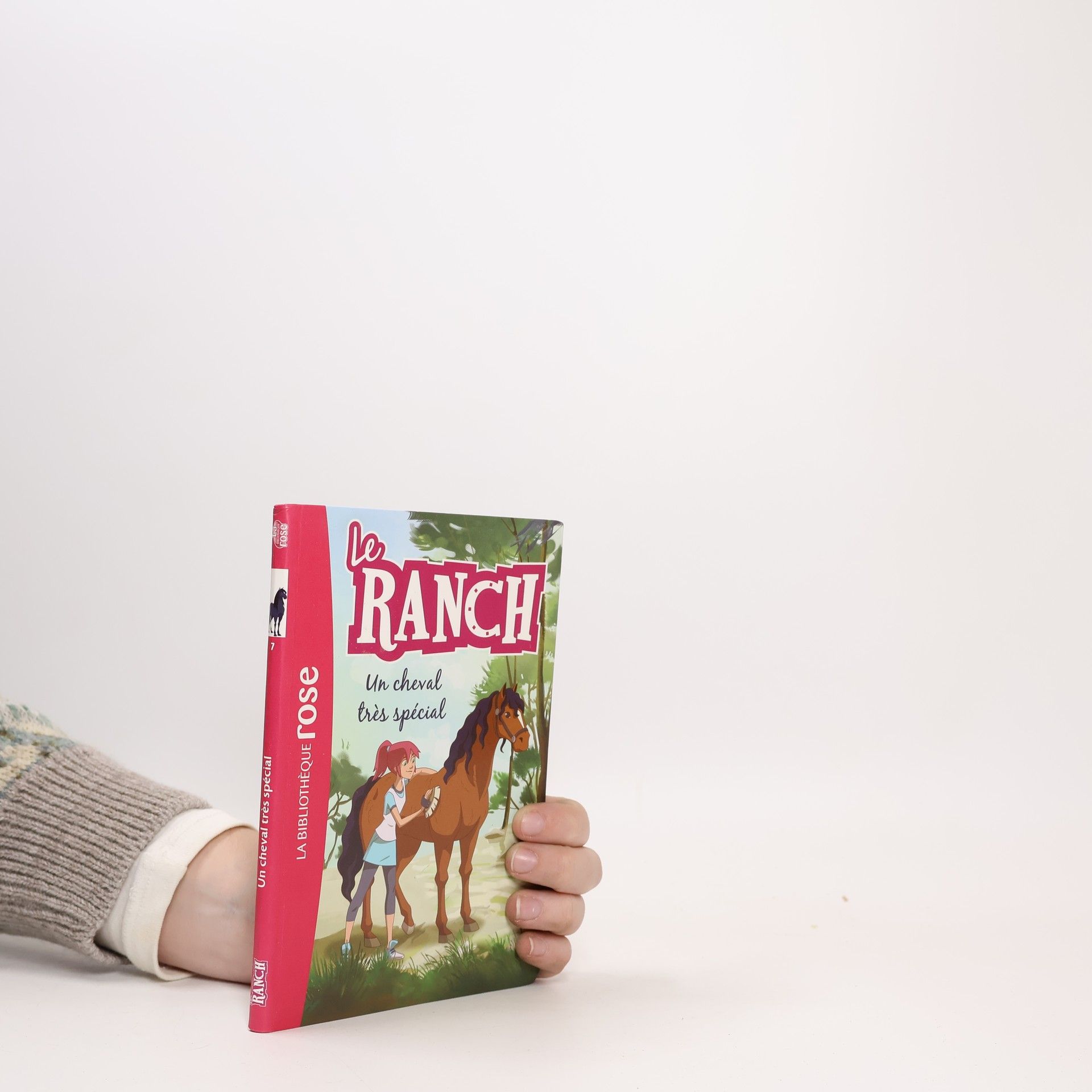 Le Ranch - 7: Un cheval très spécial