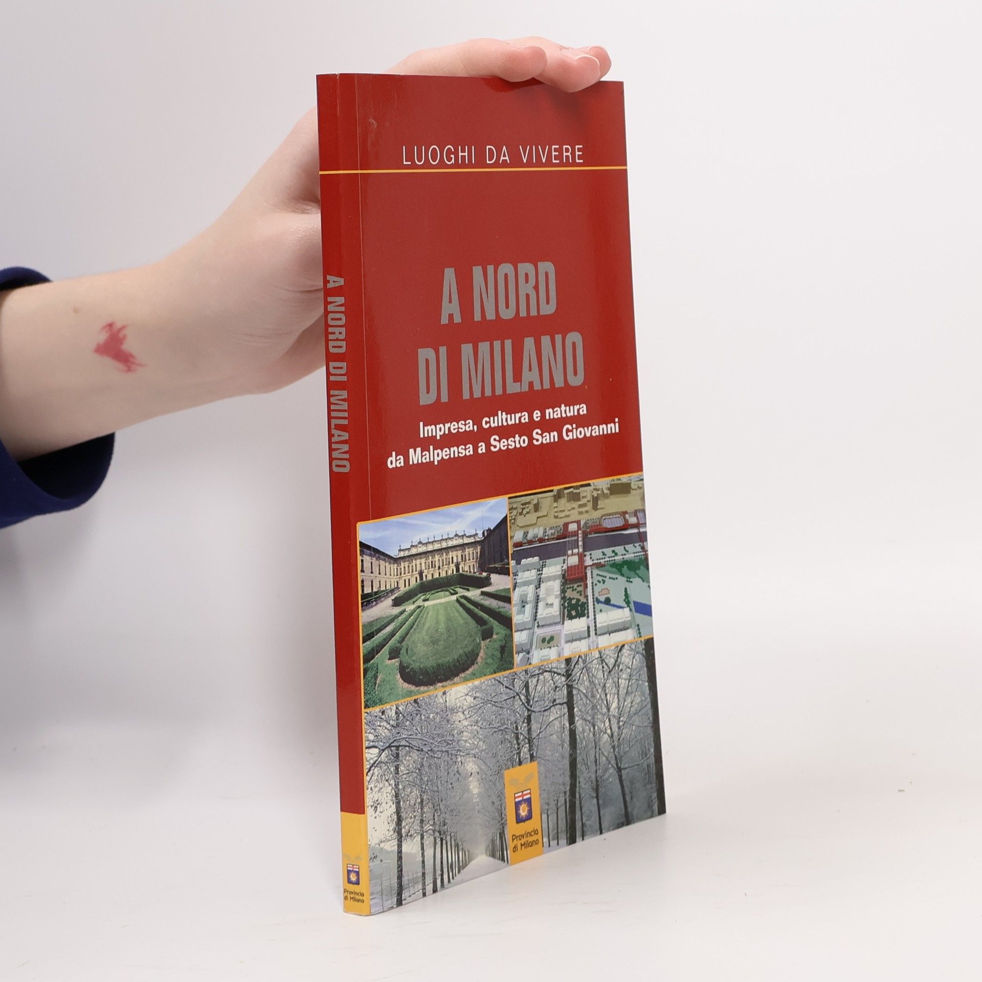 Kolektív autorov A Nord di Milano