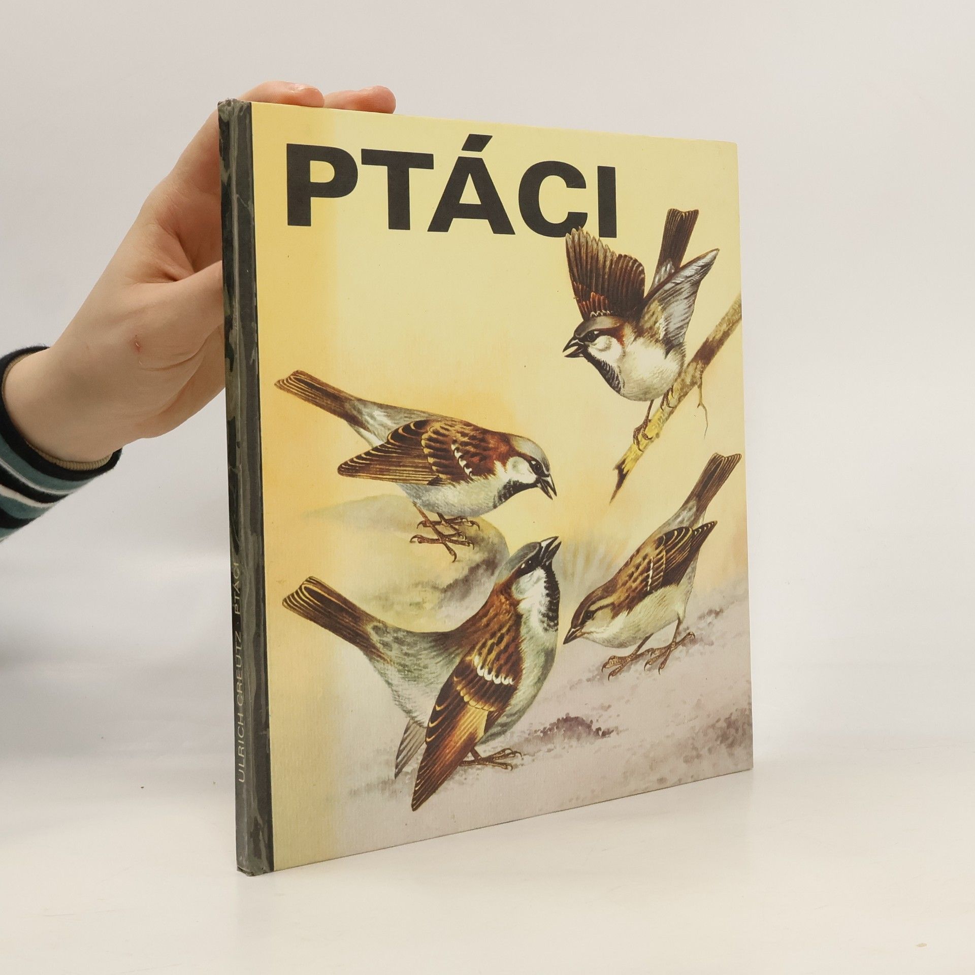 Ptáci