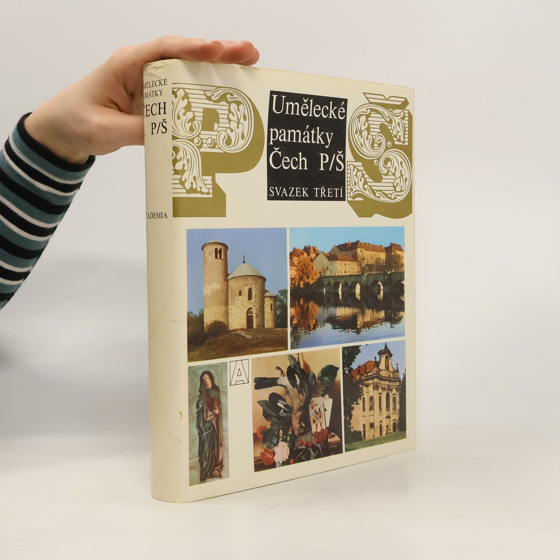Kolektiv autorů Umělecké památky Čech 3. P-Š