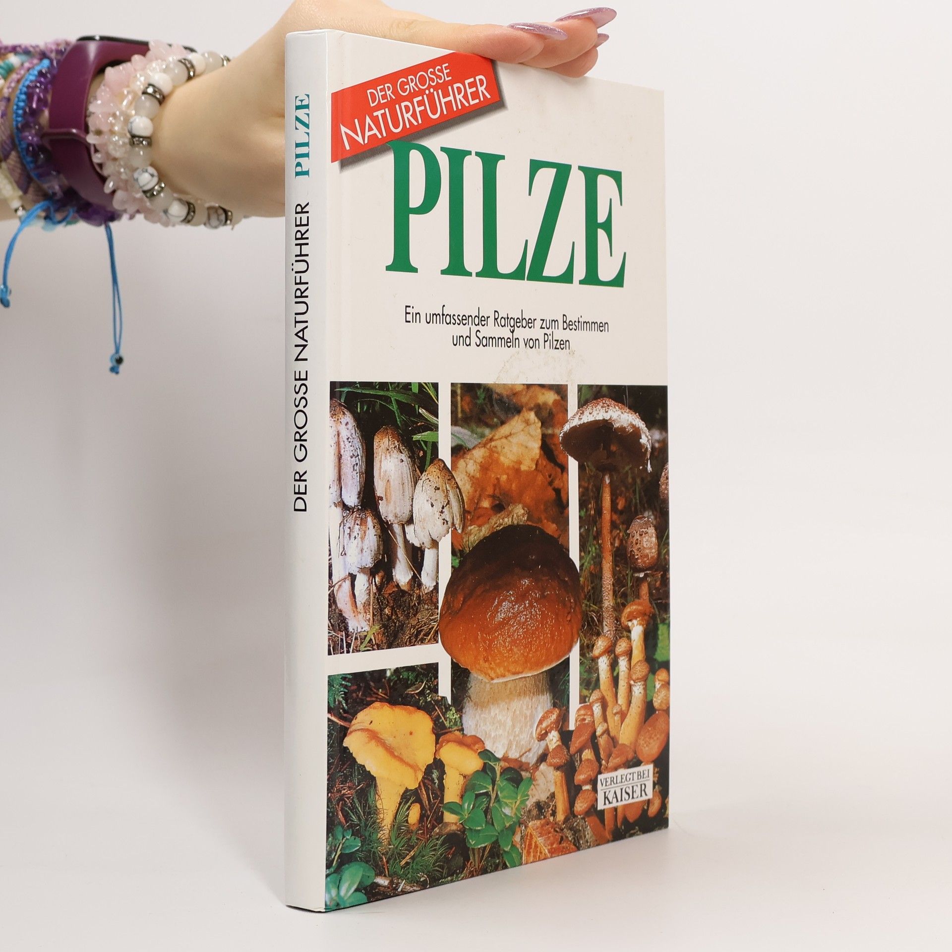 Autorenkollektiv Pilze. Ein umfassender Ratgeber zum Bestimmen und Sammeln von Pilzen.