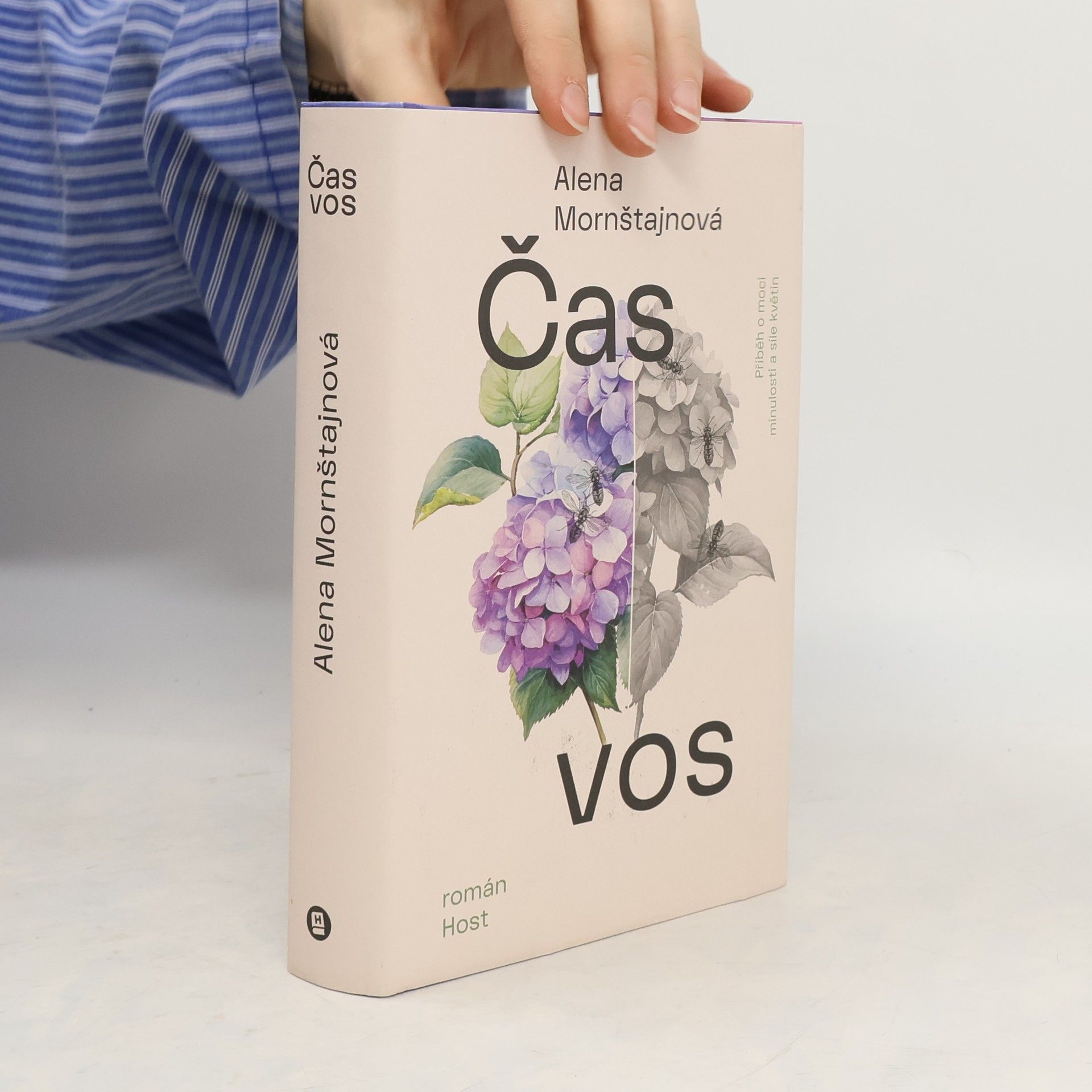 Alena Mornštajnová Čas vos