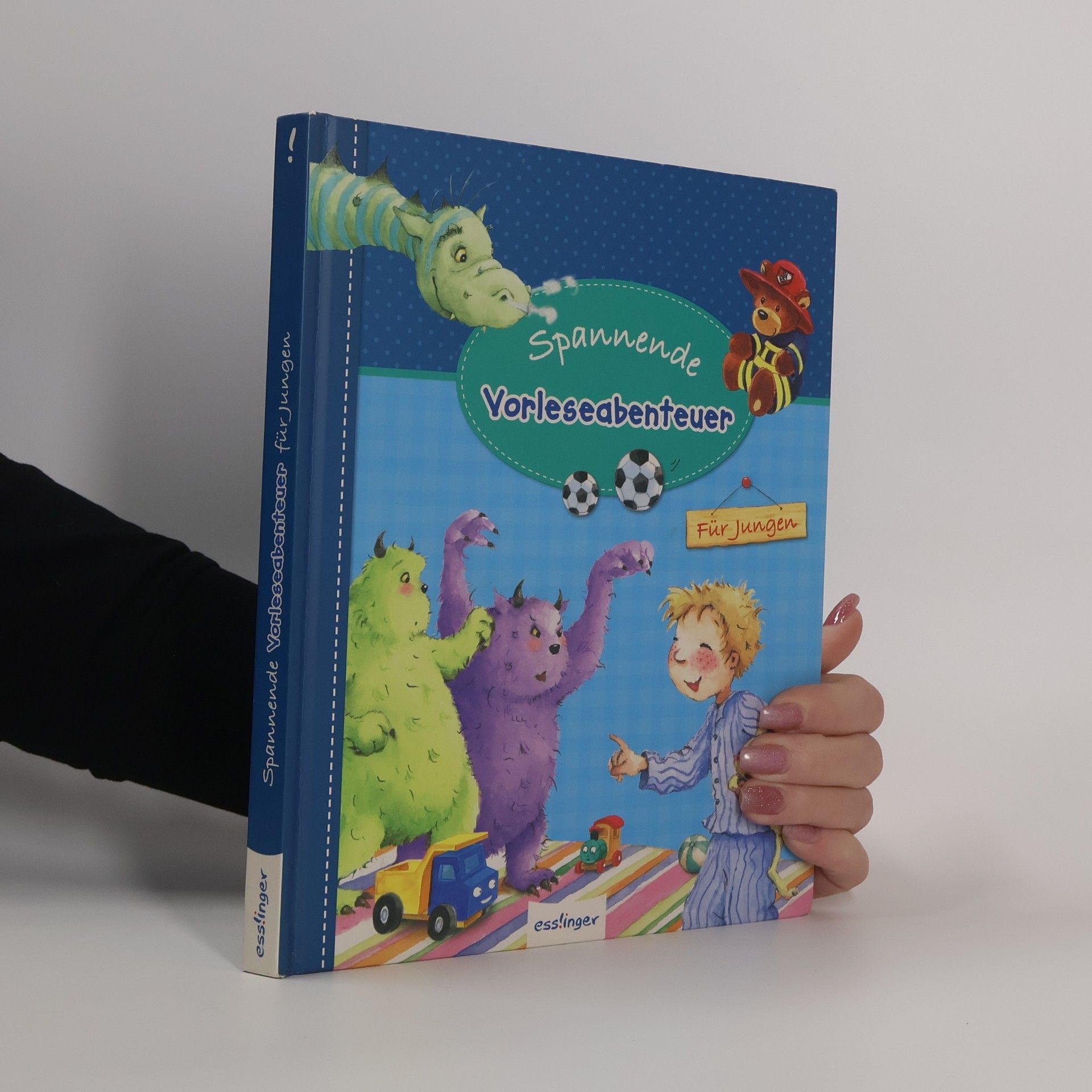 Luise Holthausen Spannende Vorleseabenteuer - für Jungen
