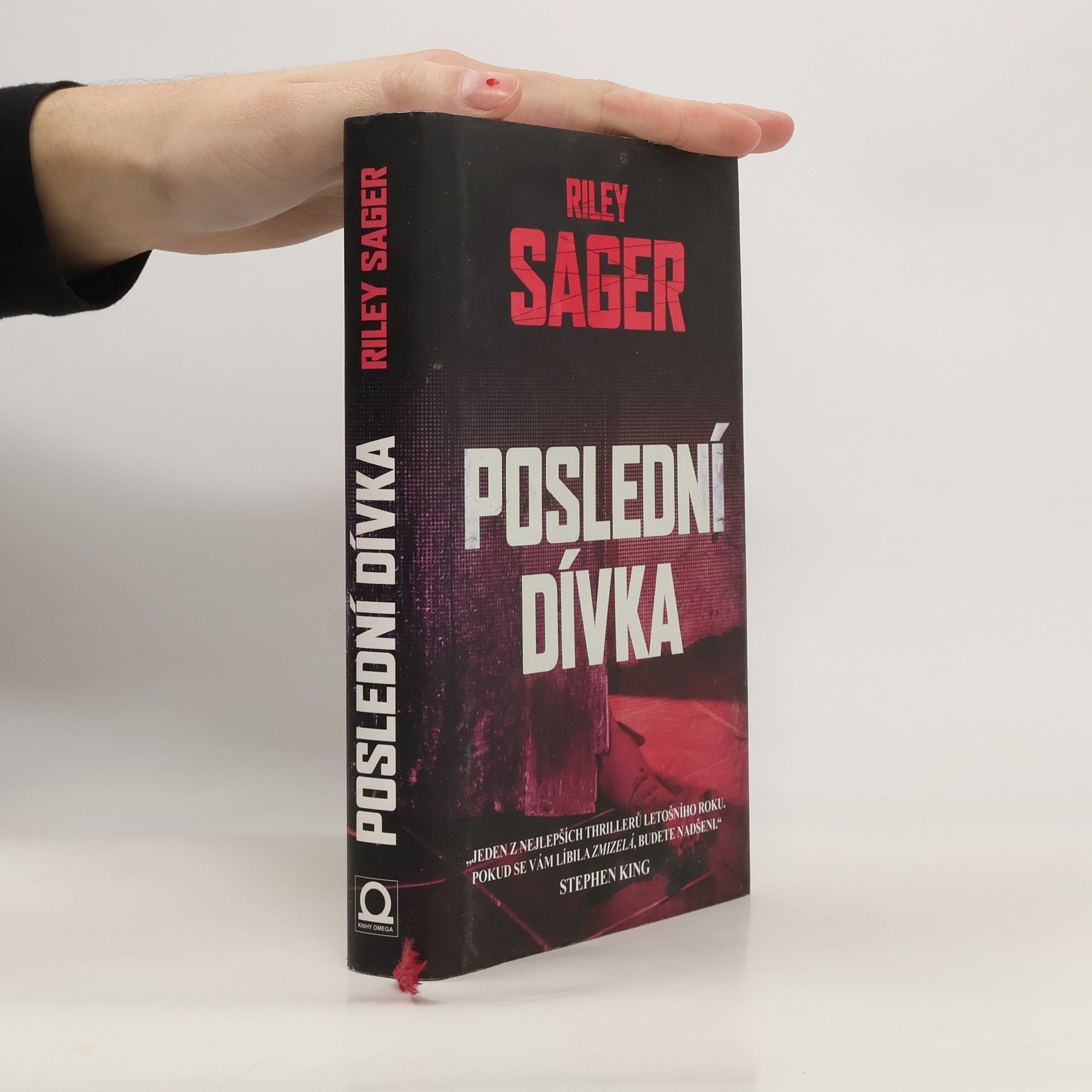 Todd Ritter Poslední dívka