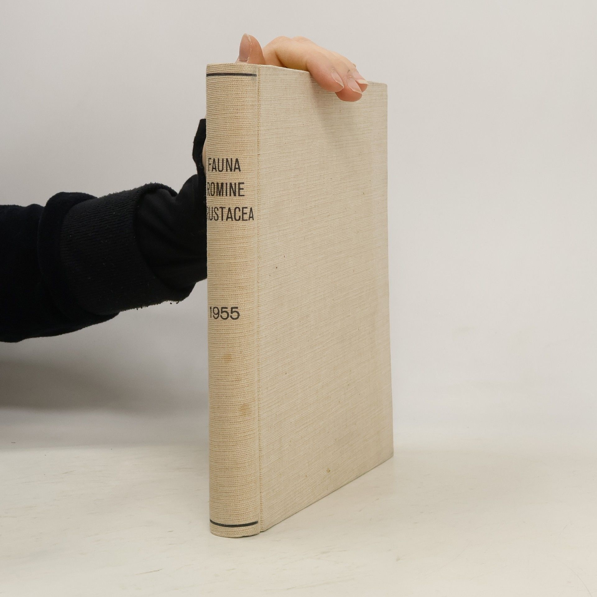 Kolektív autorov Fauna republicii populare romine IV