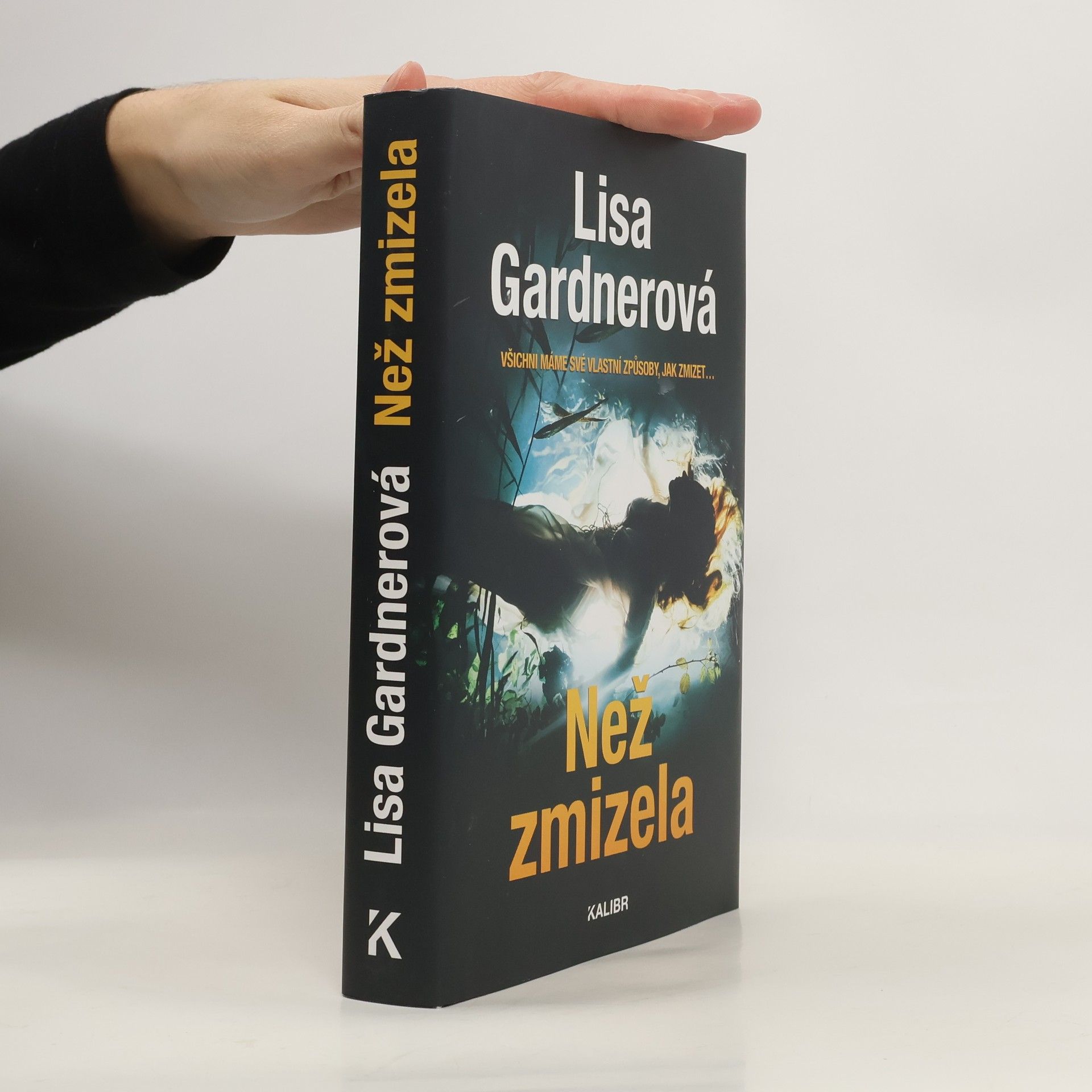 Irena Steinerová Než zmizela