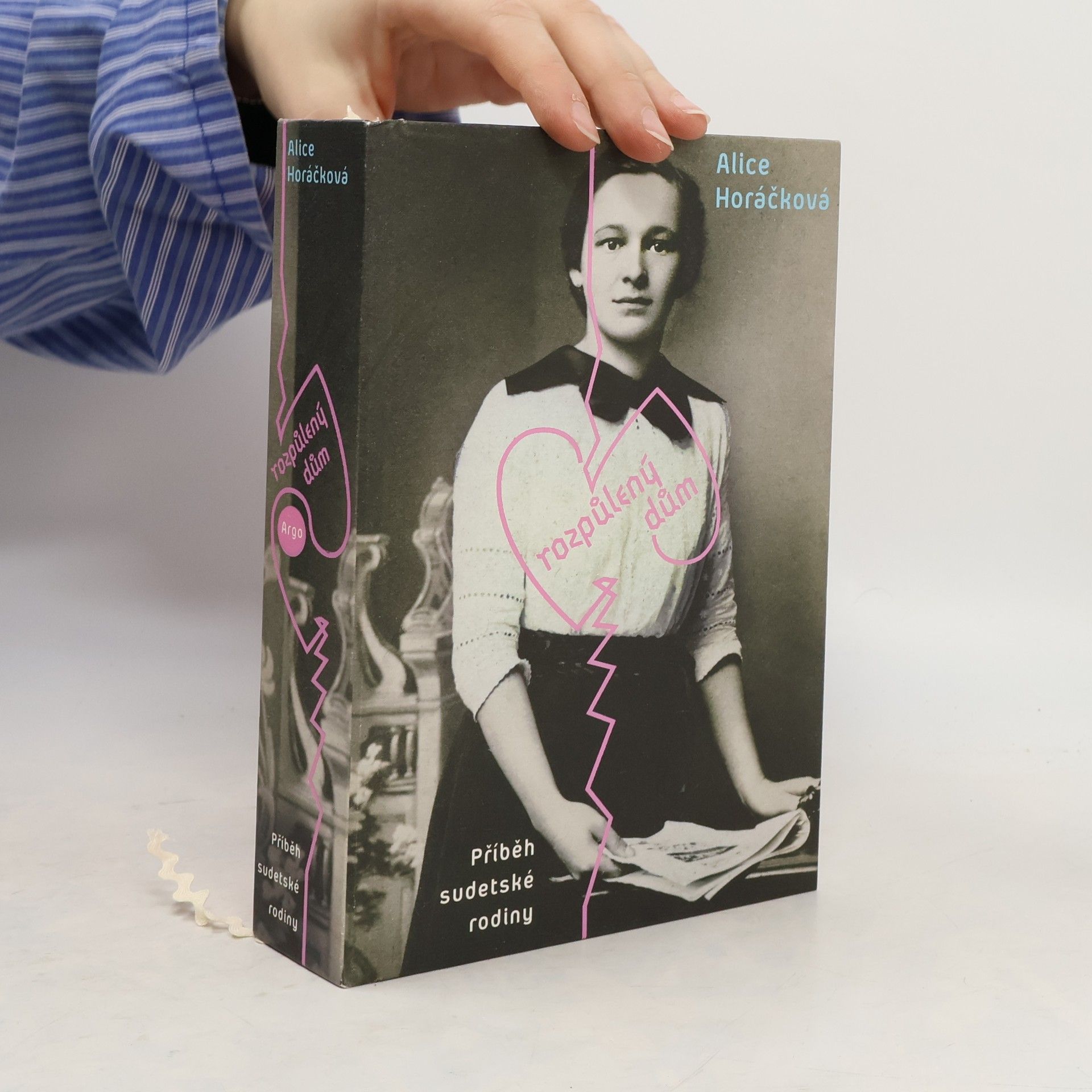 Rozpůlený dům : Příběh sudetské rodiny