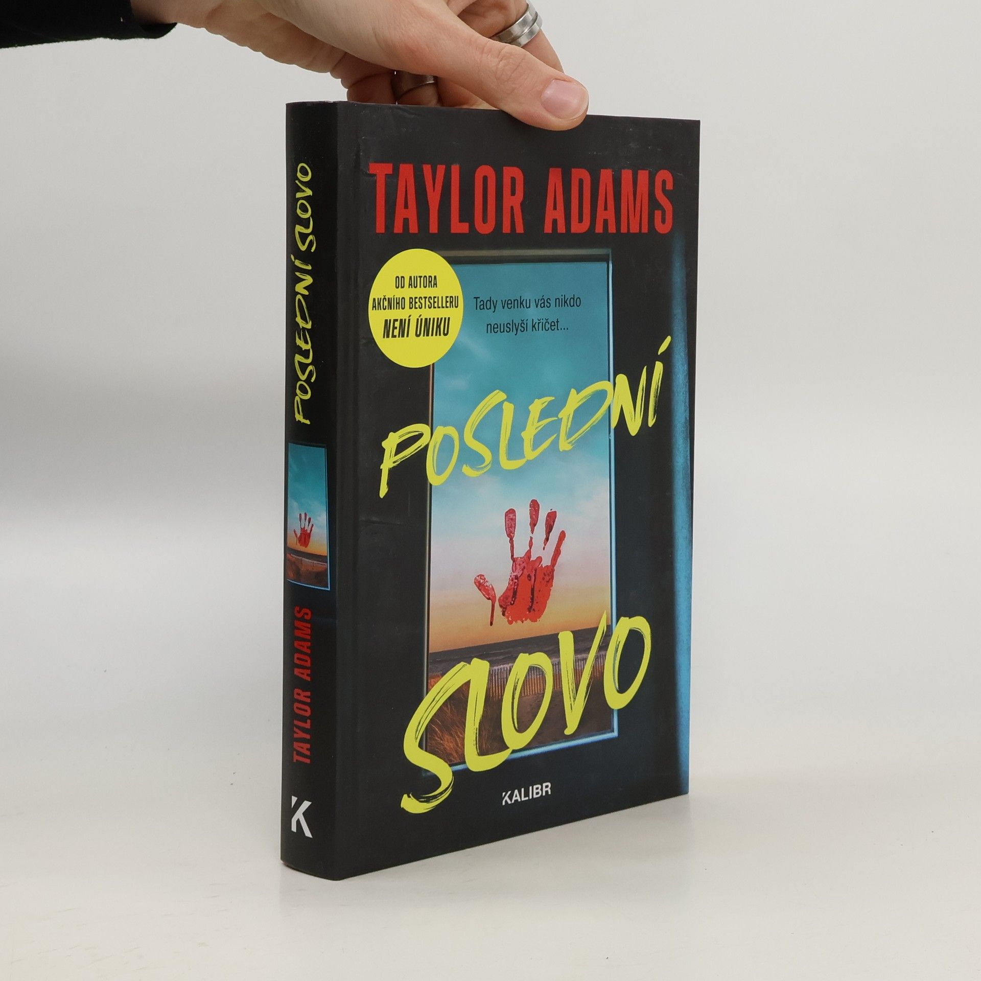 Irena Steinerová Poslední slovo