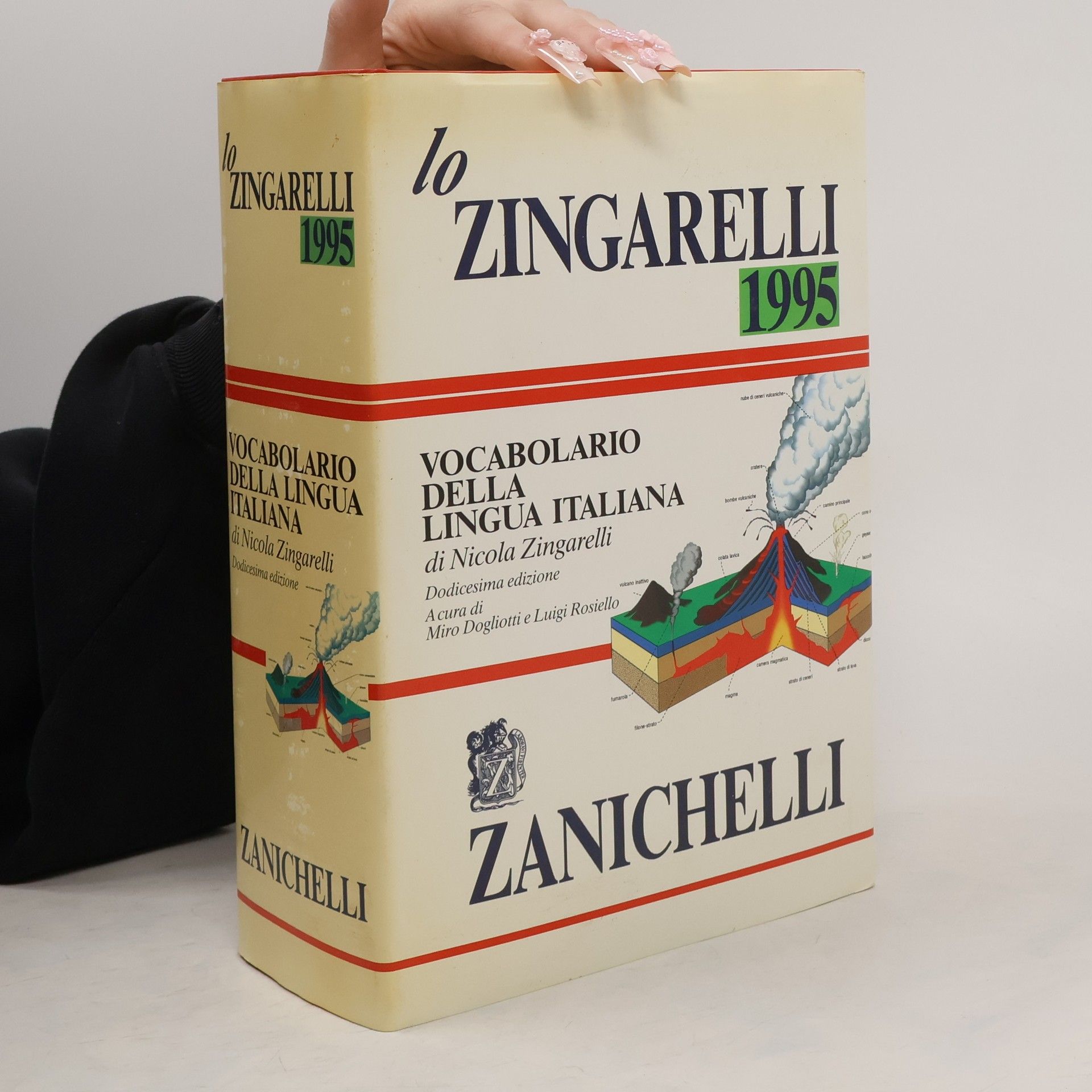 Luigi Rosiello Lo Zingarelli 1995