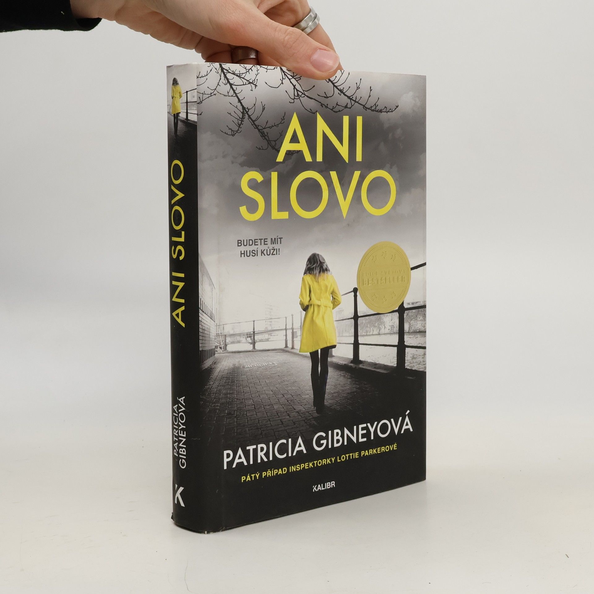 Patricia Gibney Ani slovo