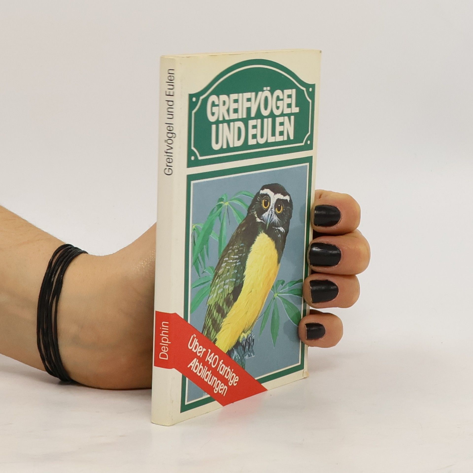 Glenys Lloyd Greifvögel und Eulen