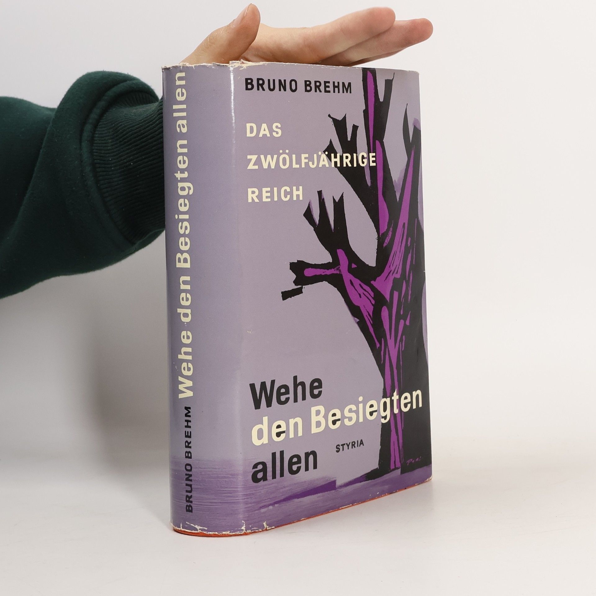 Wehe den Besiegten allen