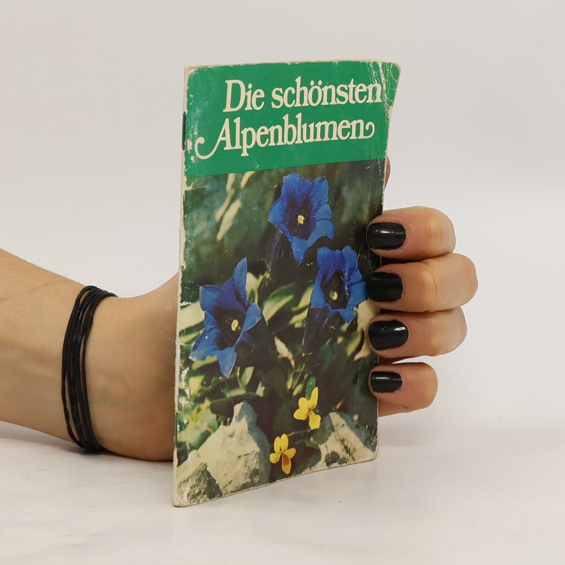 Kolektiv autorů Die schönsten Alpenblumen