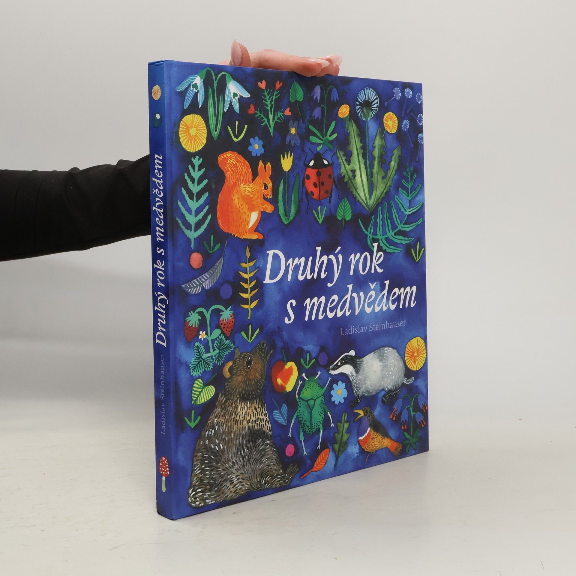 Druhý rok s medvědem