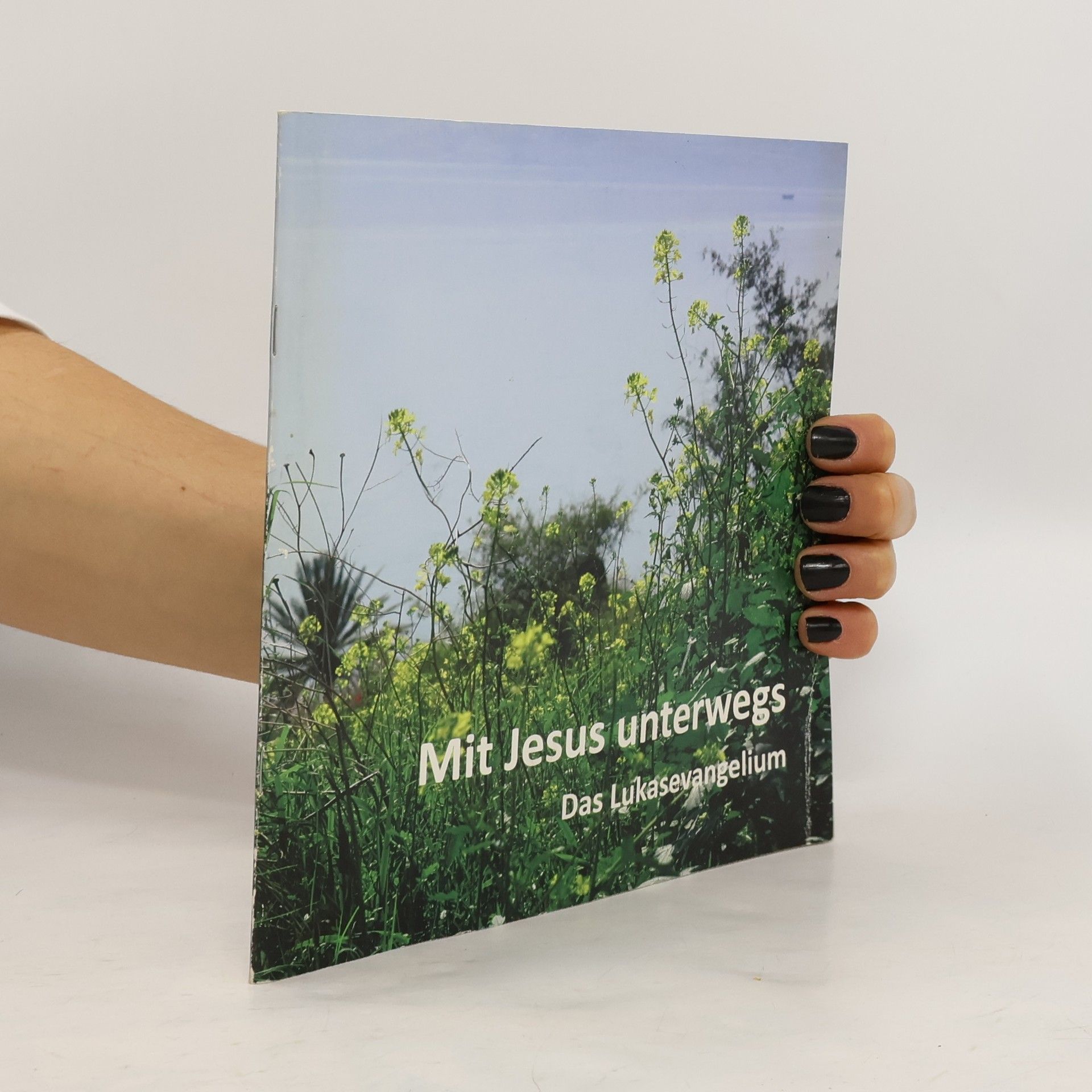 Franz Kogler Mit Jesus unterwegs