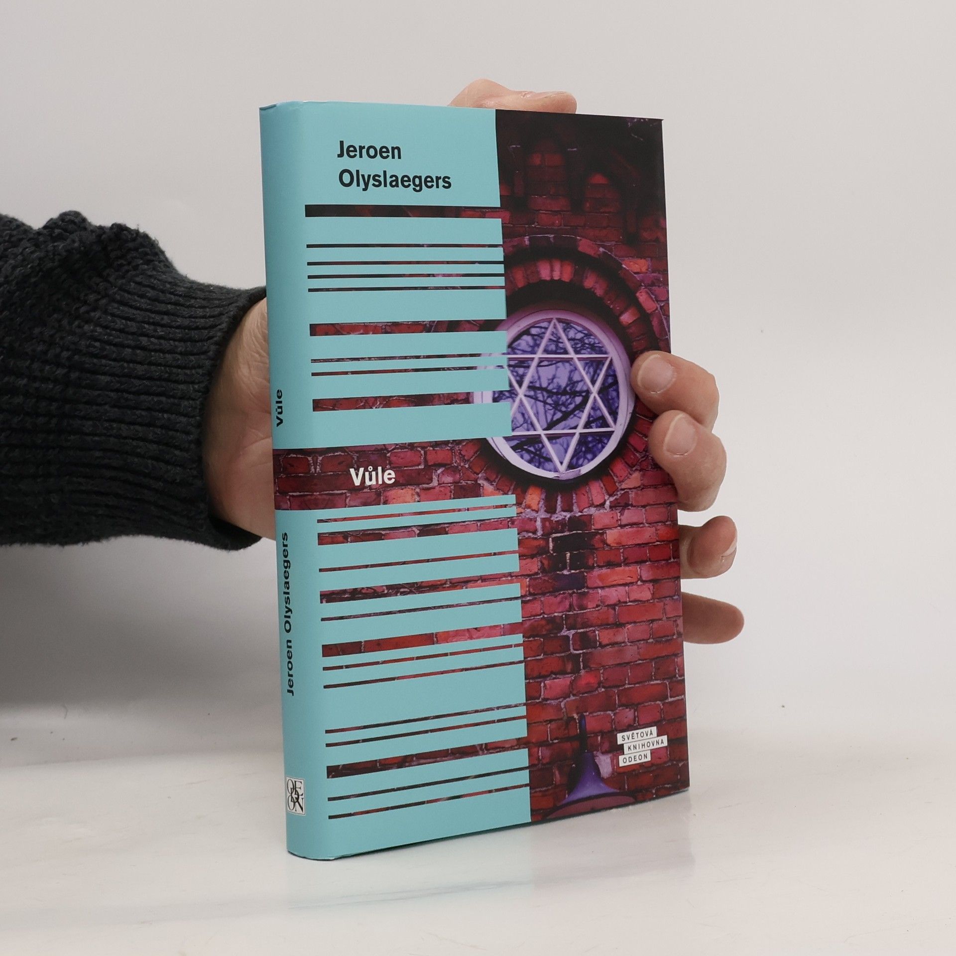 Jeroen Olyslaegers Vůle