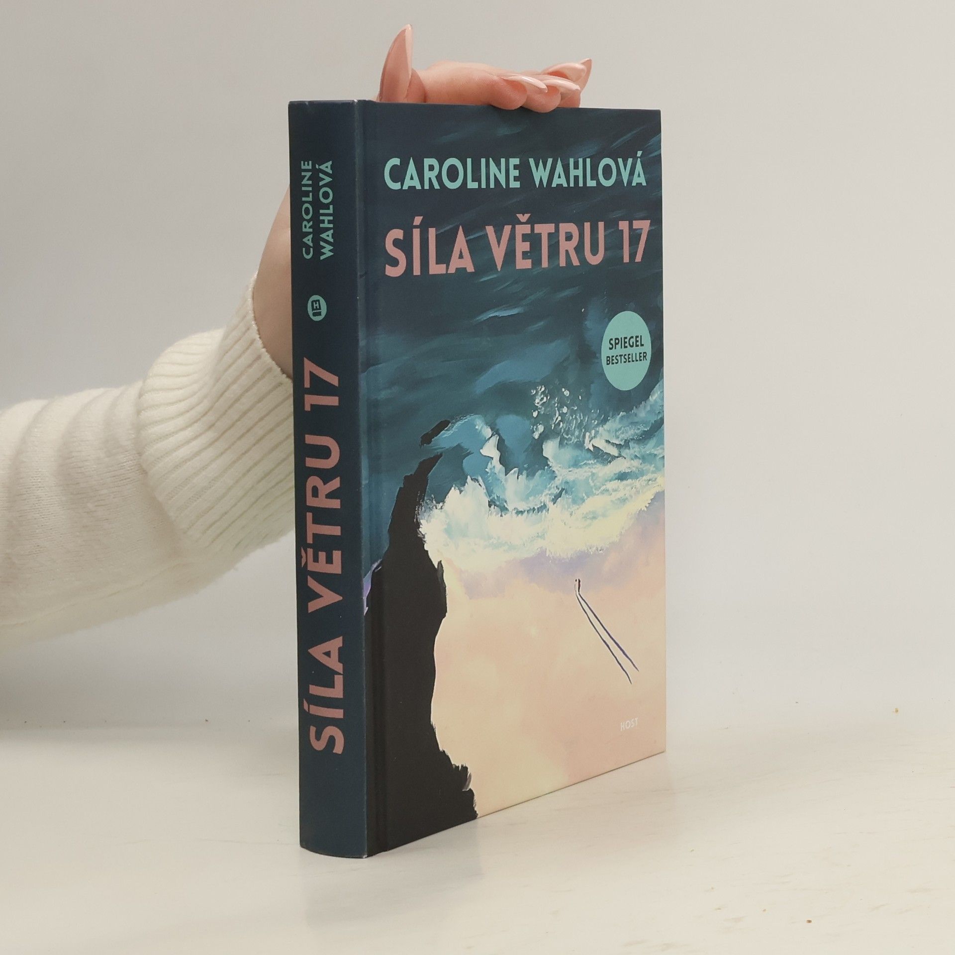 Caroline Wahl Síla větru 17