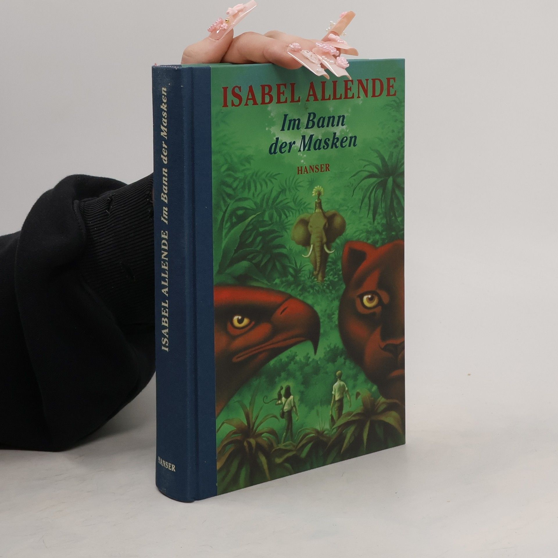 Isabel Allende Im Bann der Masken