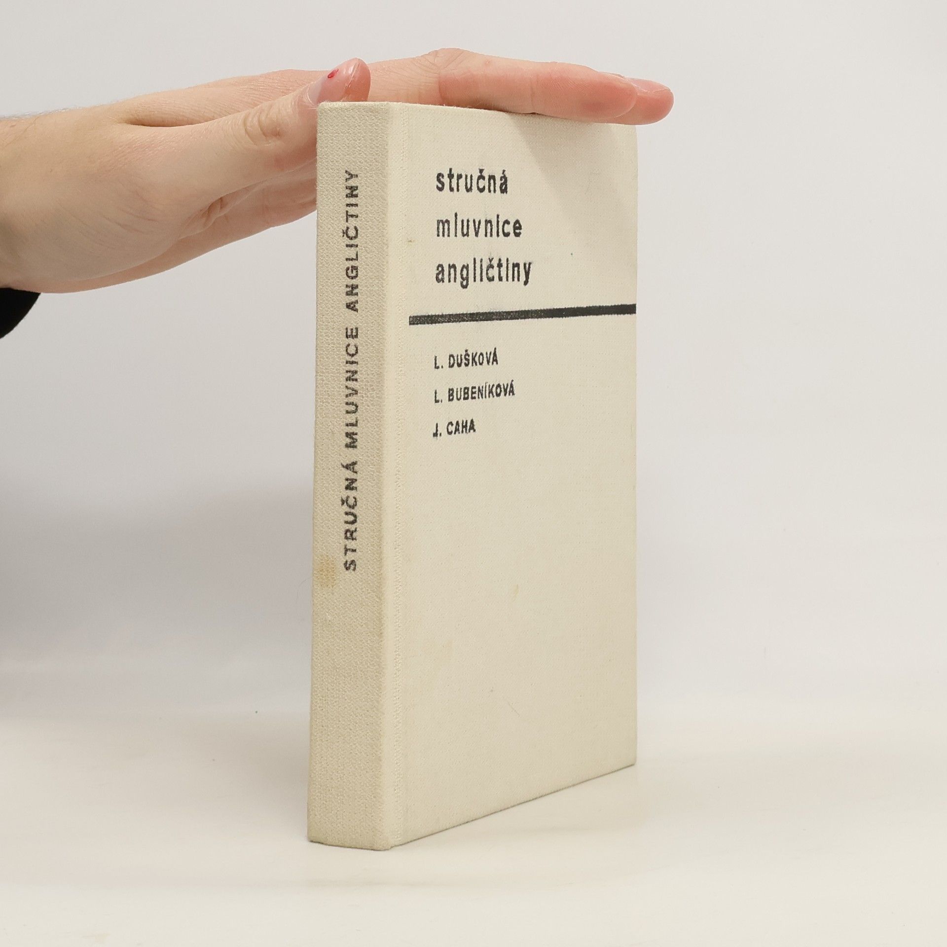 Stručná mluvnice angličtiny