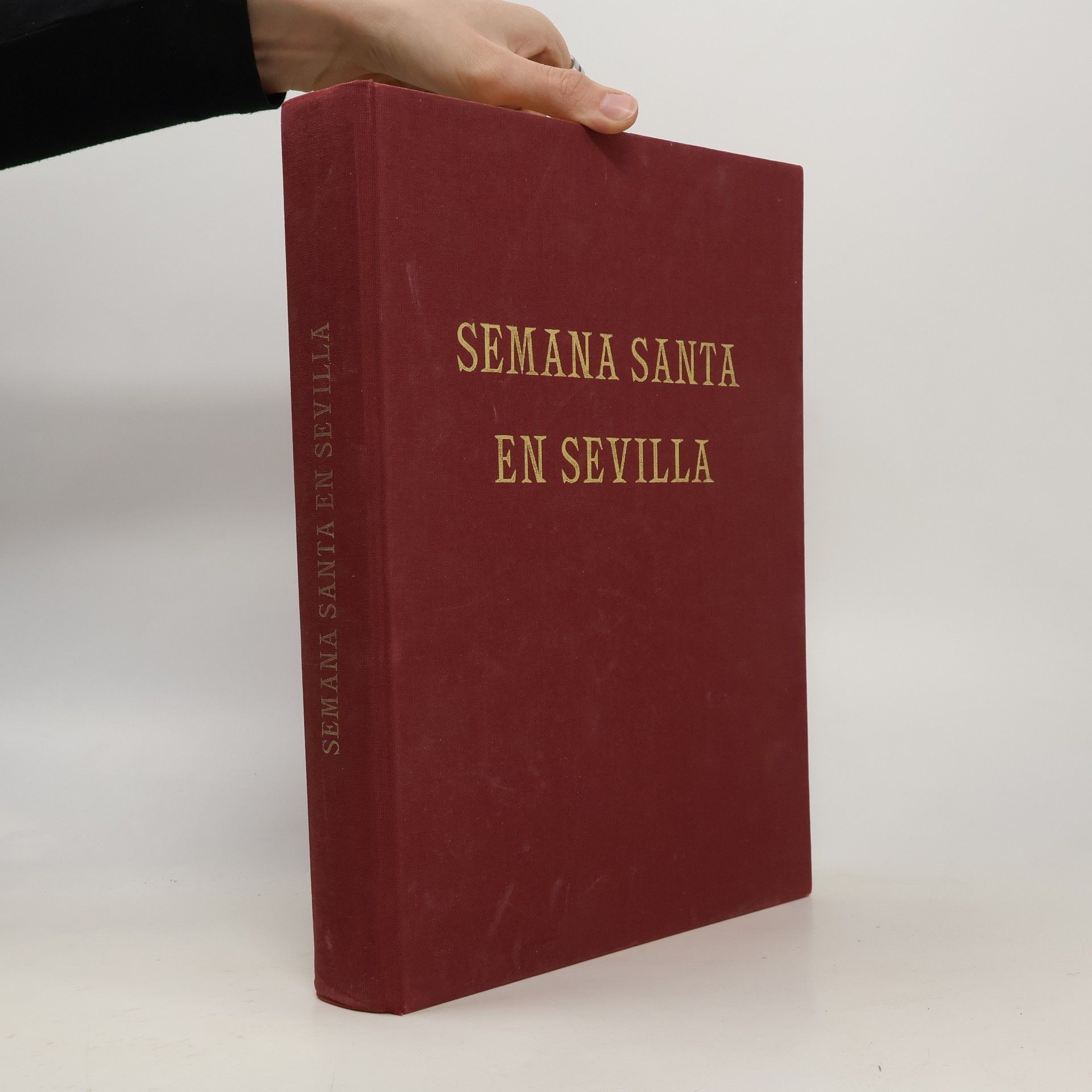 Kolektív autorov Semana Santa en Sevilla