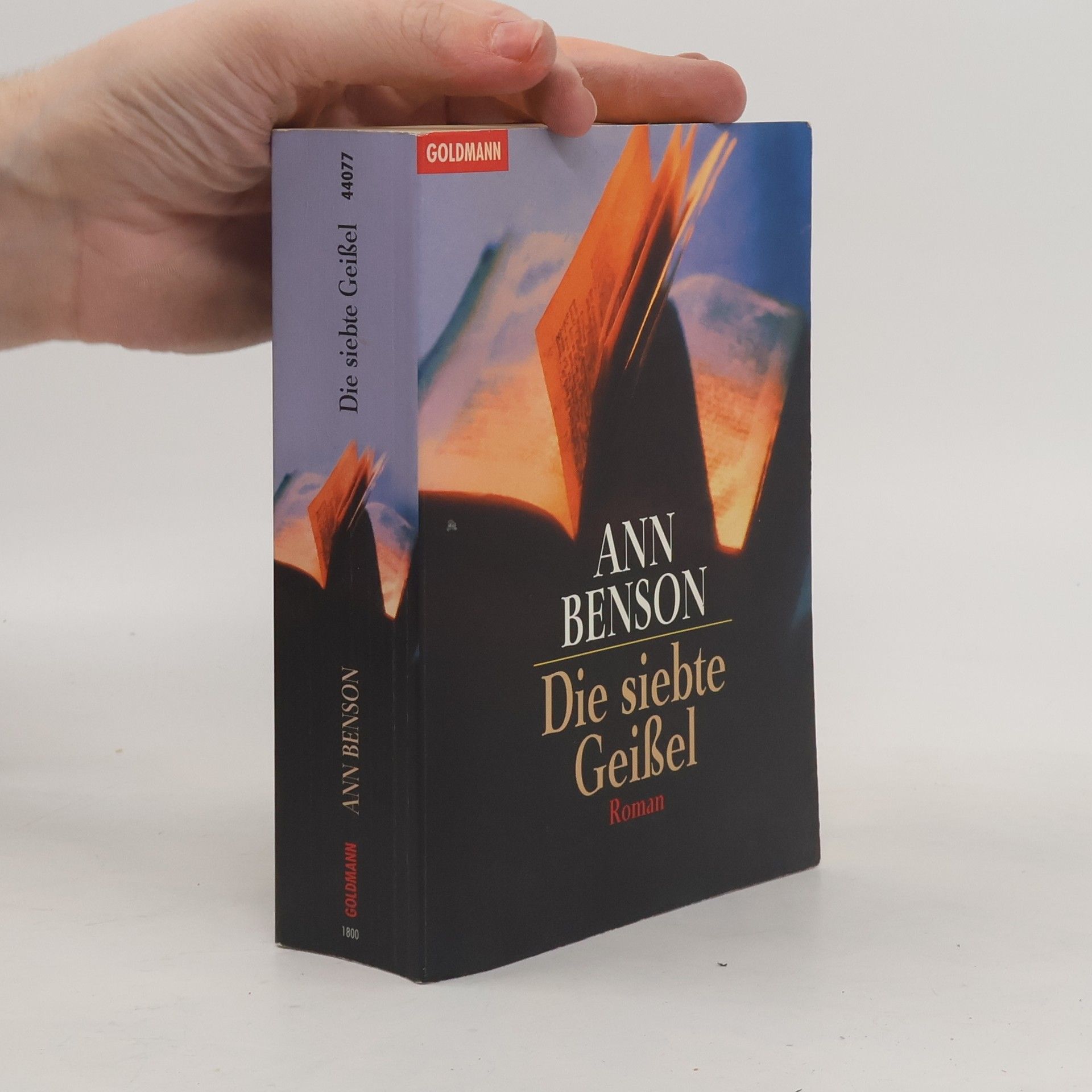 Ann Benson Die siebte Geißel