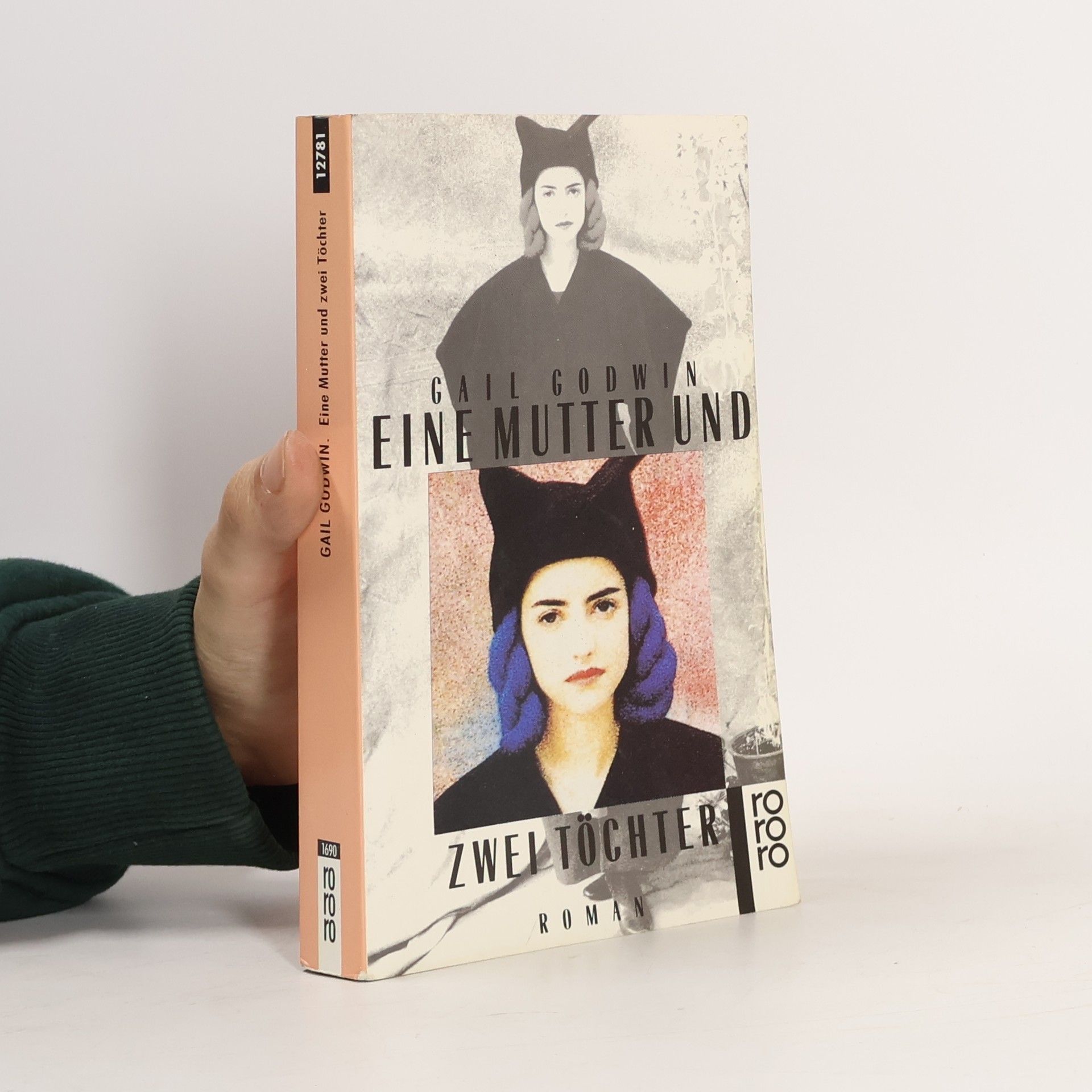Gail Godwin Eine Mutter und zwei Töchter