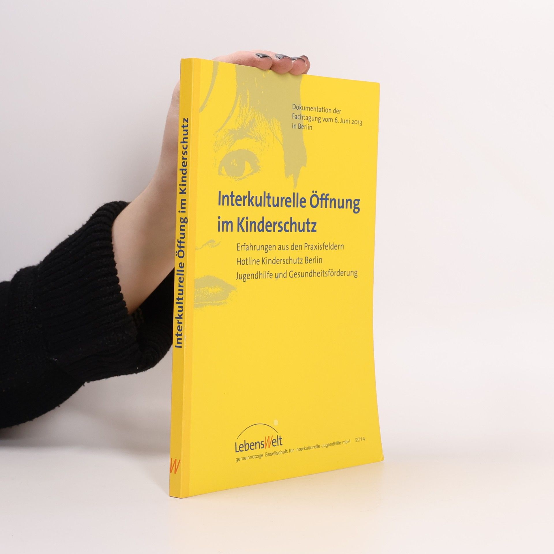 Ina Stanulla Interkulturelle Öffnung im Kinderschutz