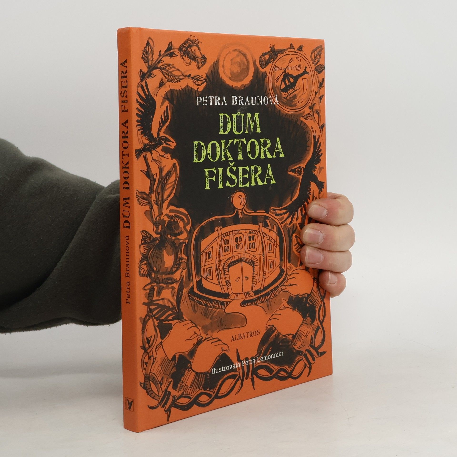 Petra Braun Groh Dům doktora Fišera