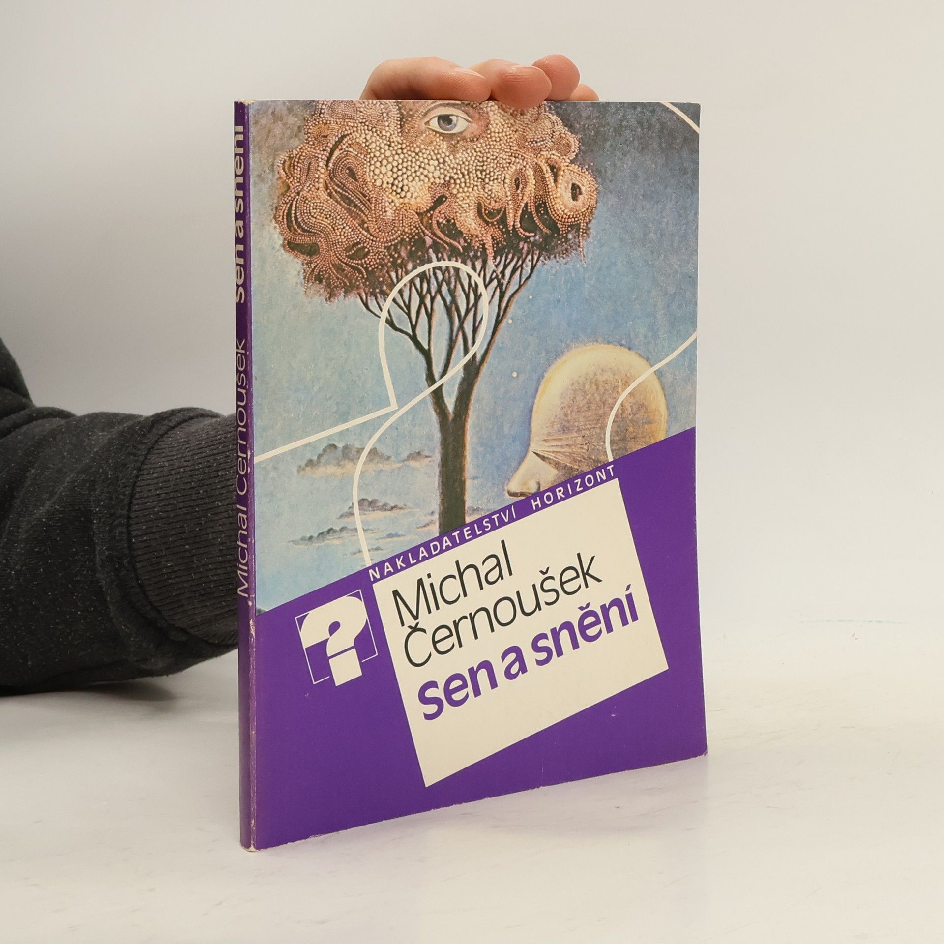 Michal Černoušek Sen a snění