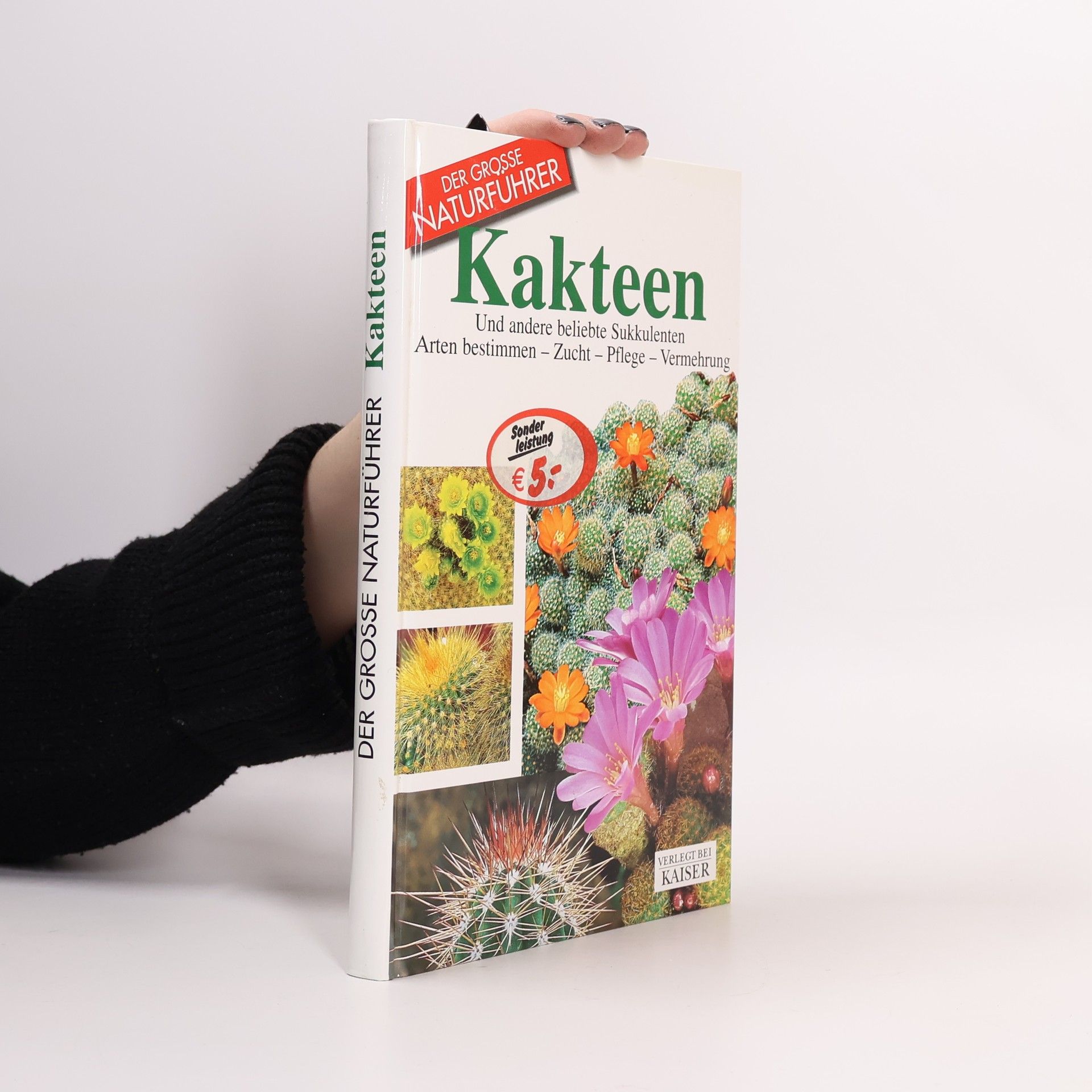 Maria Teresa Della Beffa Kakteen und andere beliebte Sukkulenten