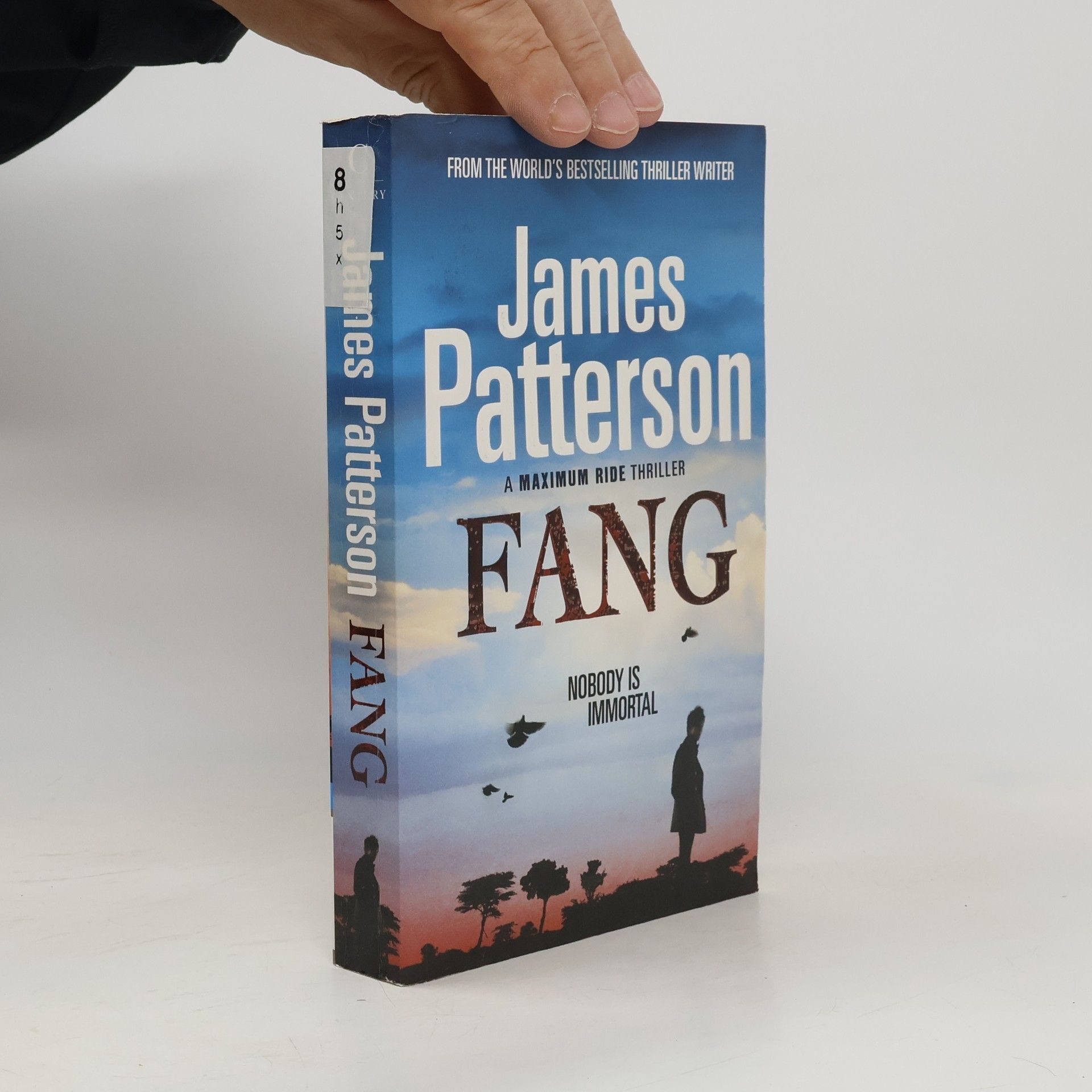 James Patterson Maximum Ride: Fang