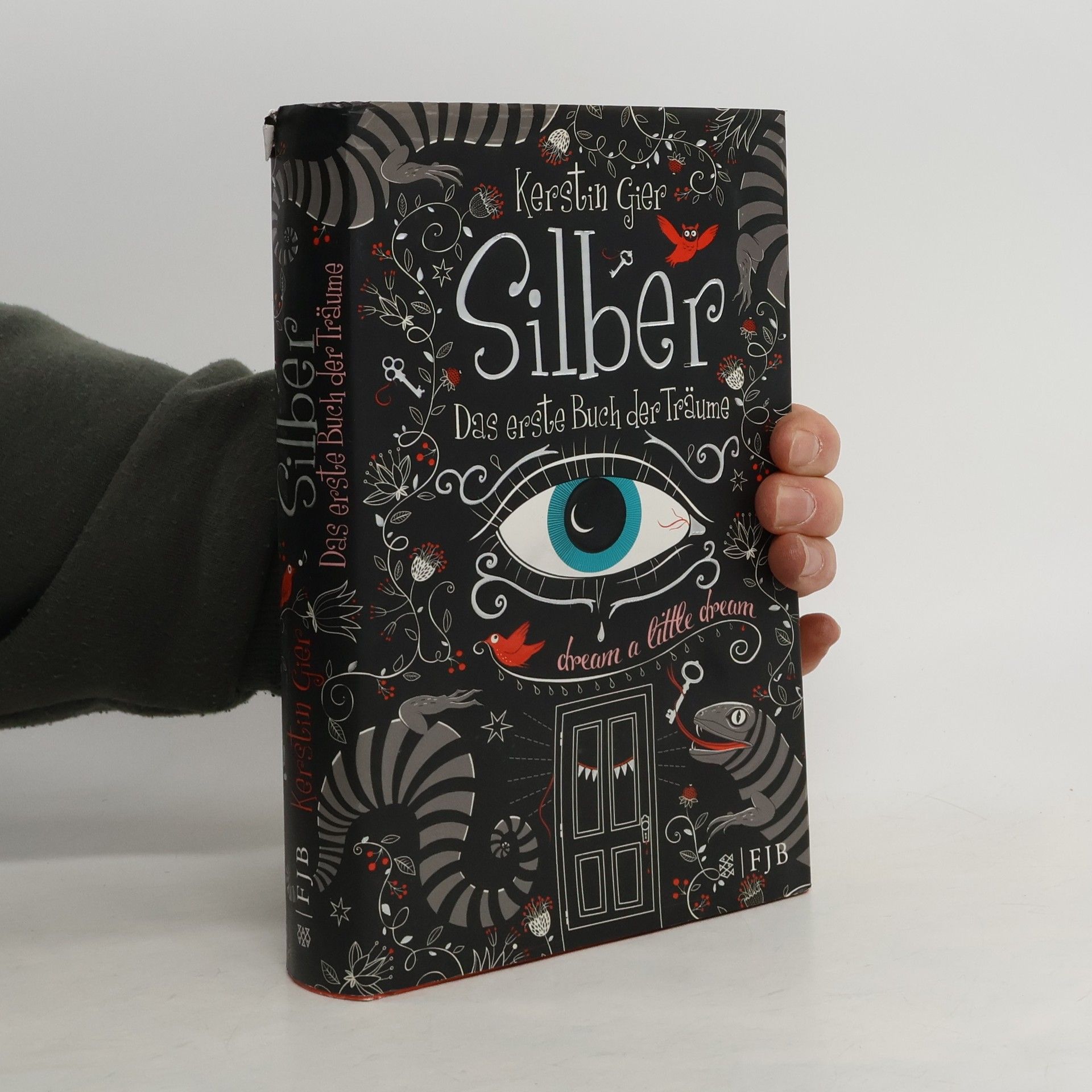 Kerstin Gier Silber. Das erste Buch der Träume